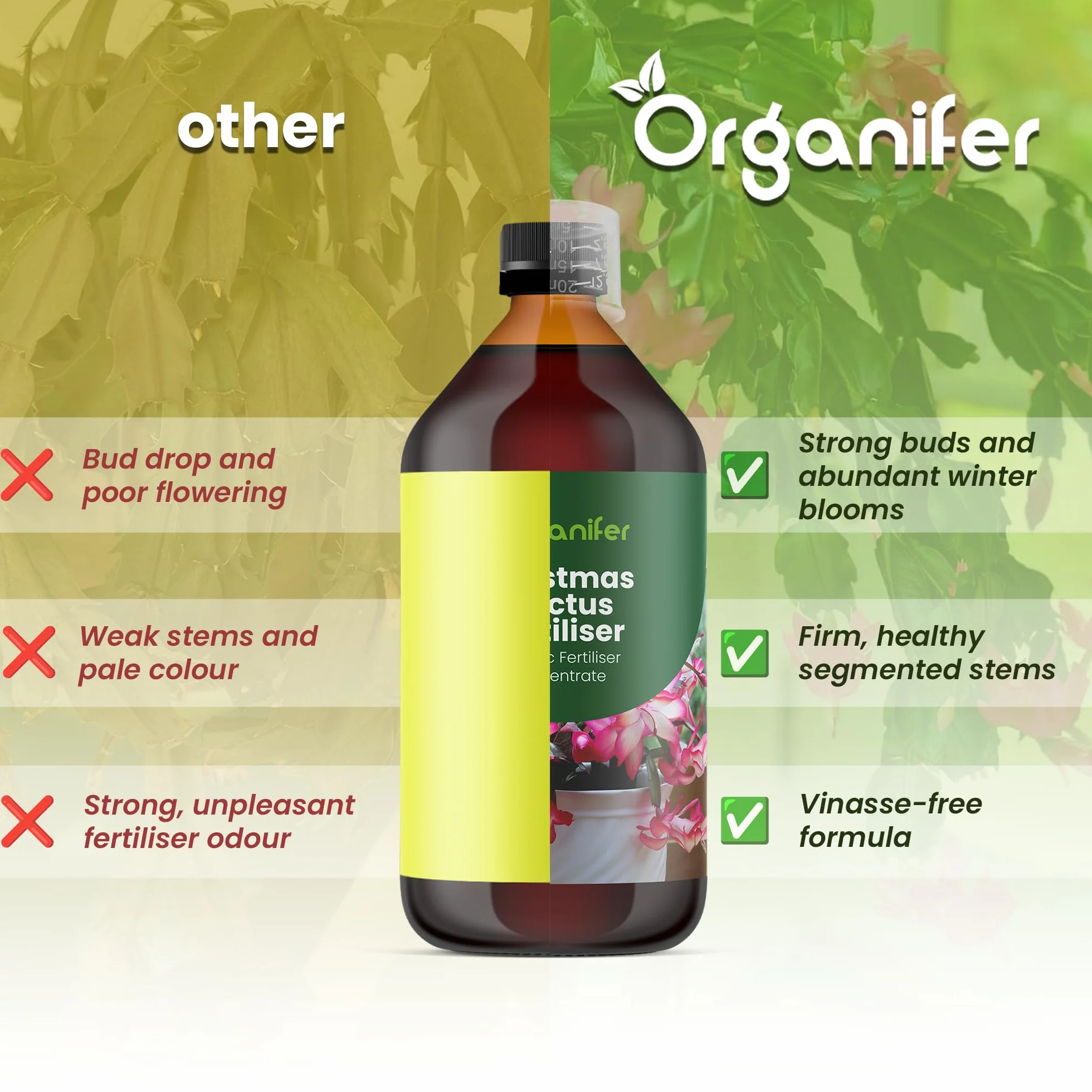 Organifer Engrais liquide organique 1L pour cactus de Noël floraison hivernale