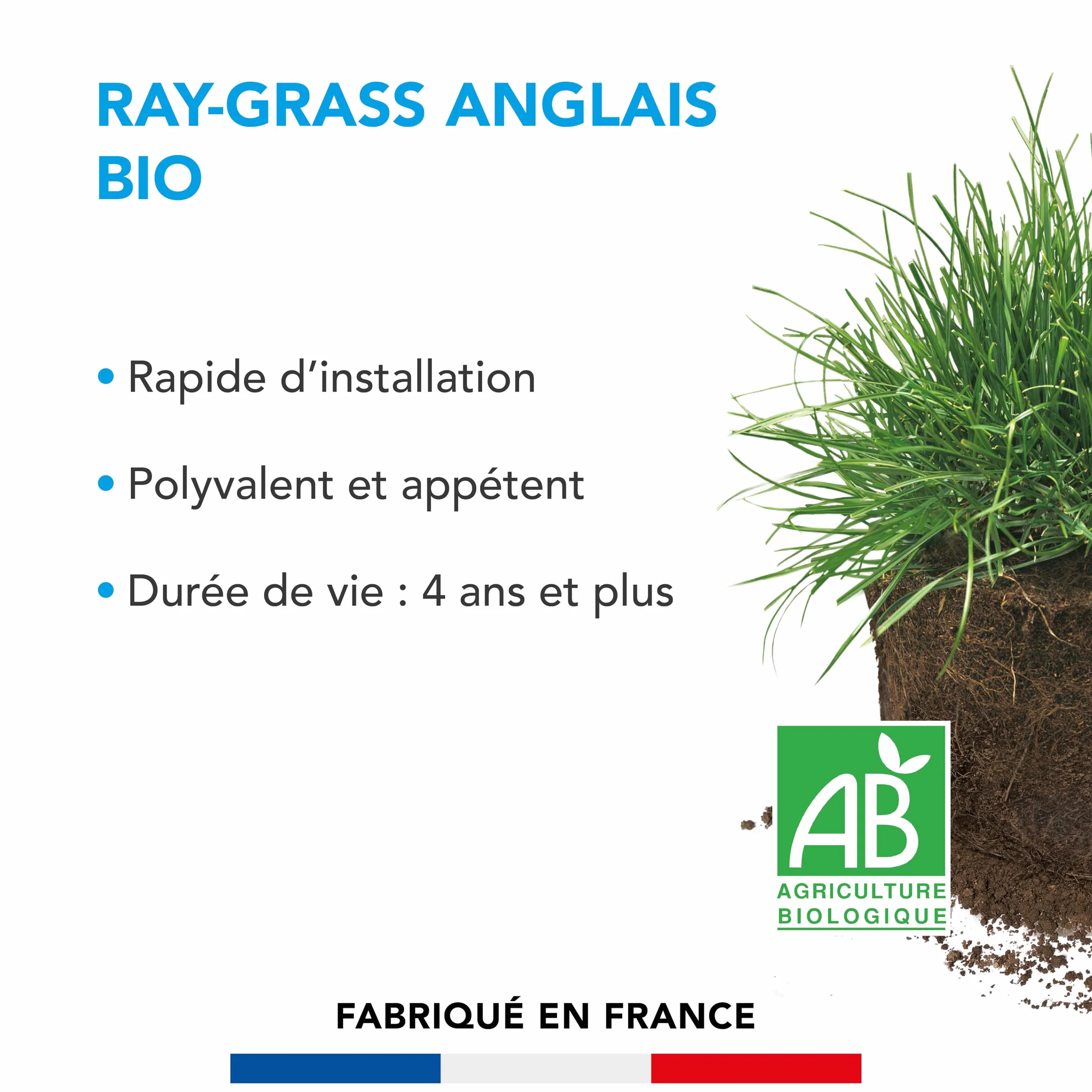 BARENBRUG Ray-grass anglais BIO 250G Fabriqué en France Durée de Vie 4 ans+