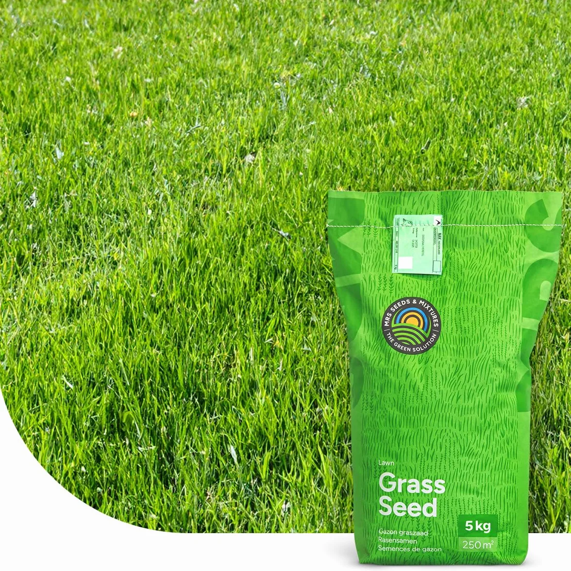 Semence Gazon Regarnissage MRS Turbo Green 5 kg 250 m² Germination rapide Gazon dense Grande tolérance au piétinement
