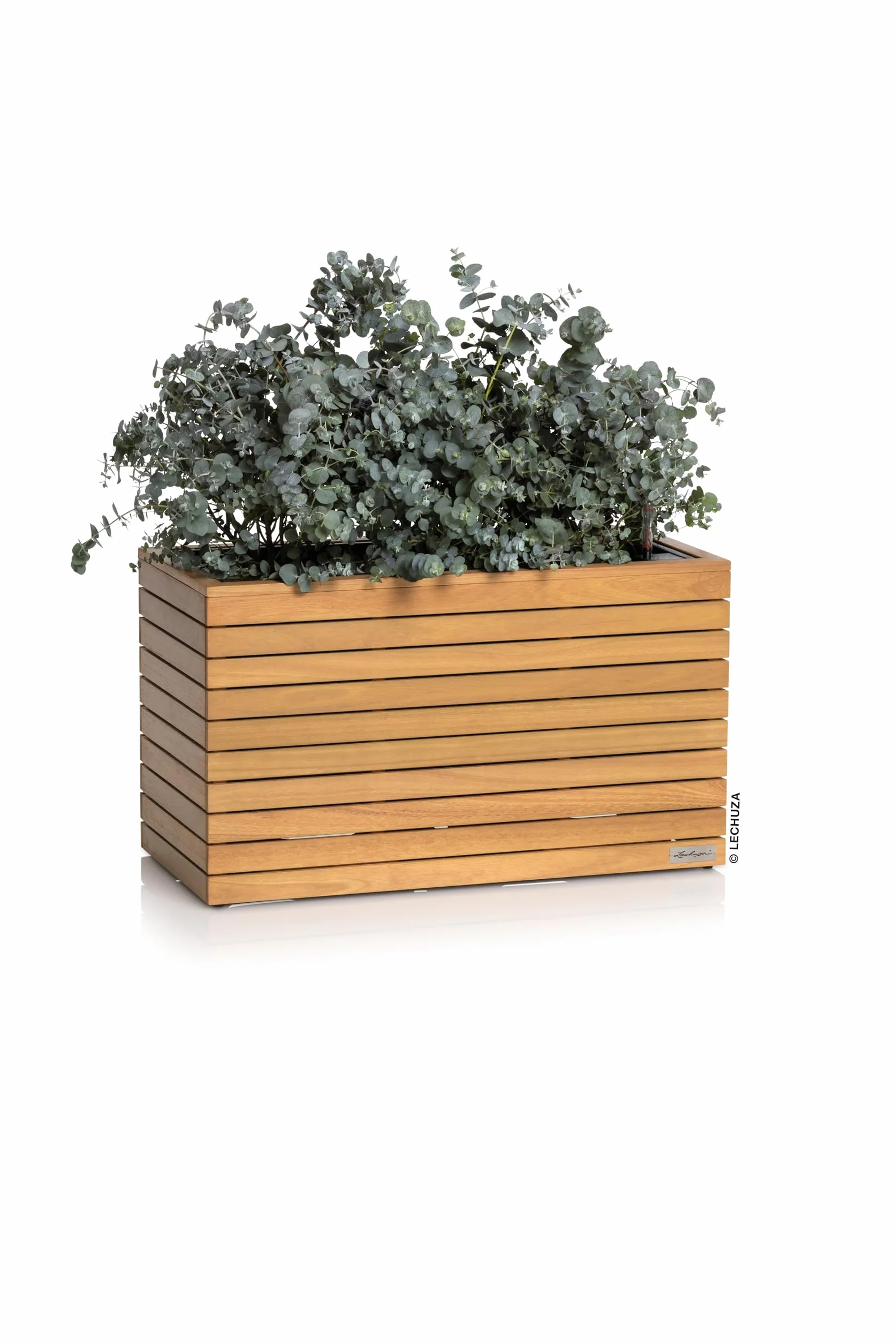 Lechuza PALO Natural Wood Low Pot avec système d'irrigation 80 cm Bois d'eucalyptus