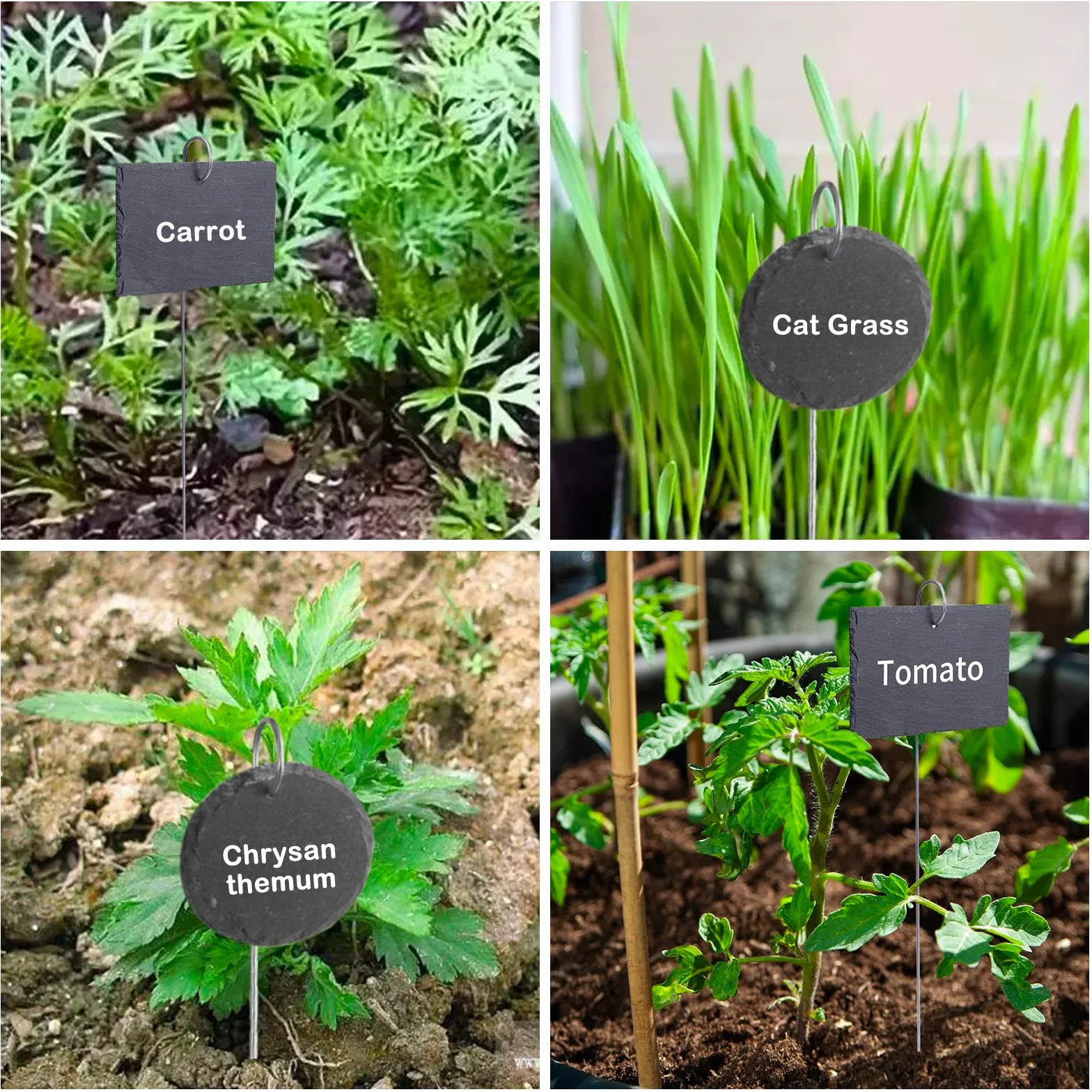 Étiquettes en Ardoise Jardin 10x8 cm avec Tiges Acier Inoxydable Réutilisables pour Plantes Potager Exterieur