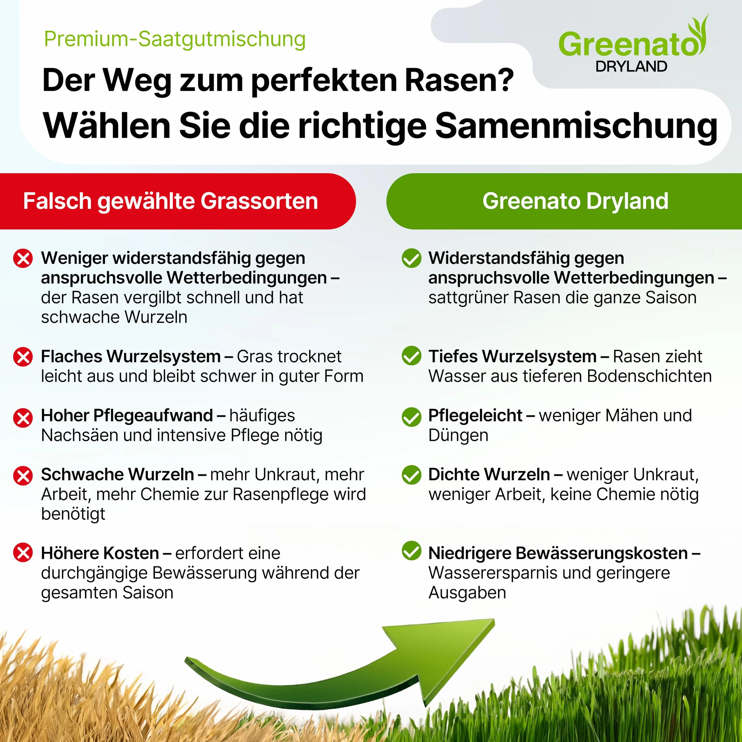 Greenato Dryland Graines de gazon résistant à la sécheresse 30kg