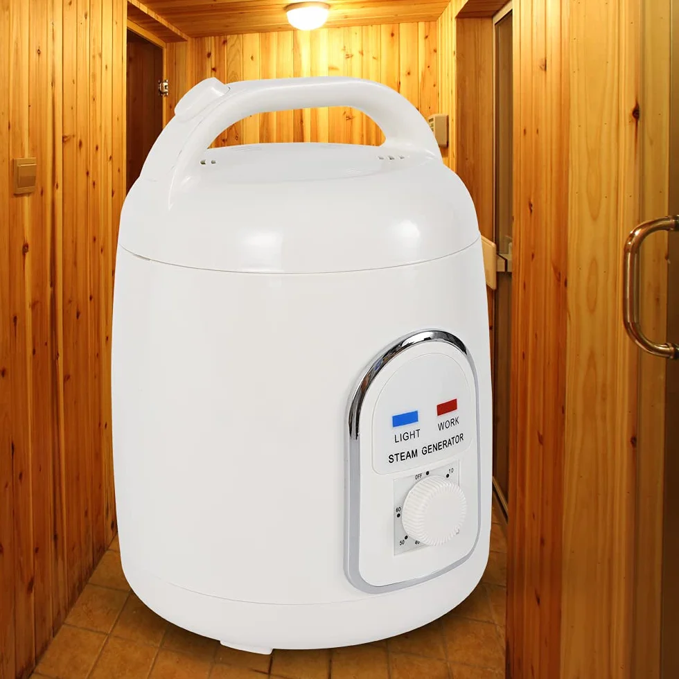 Générateur de vapeur 900 W 1,5 l Portable avec minuterie