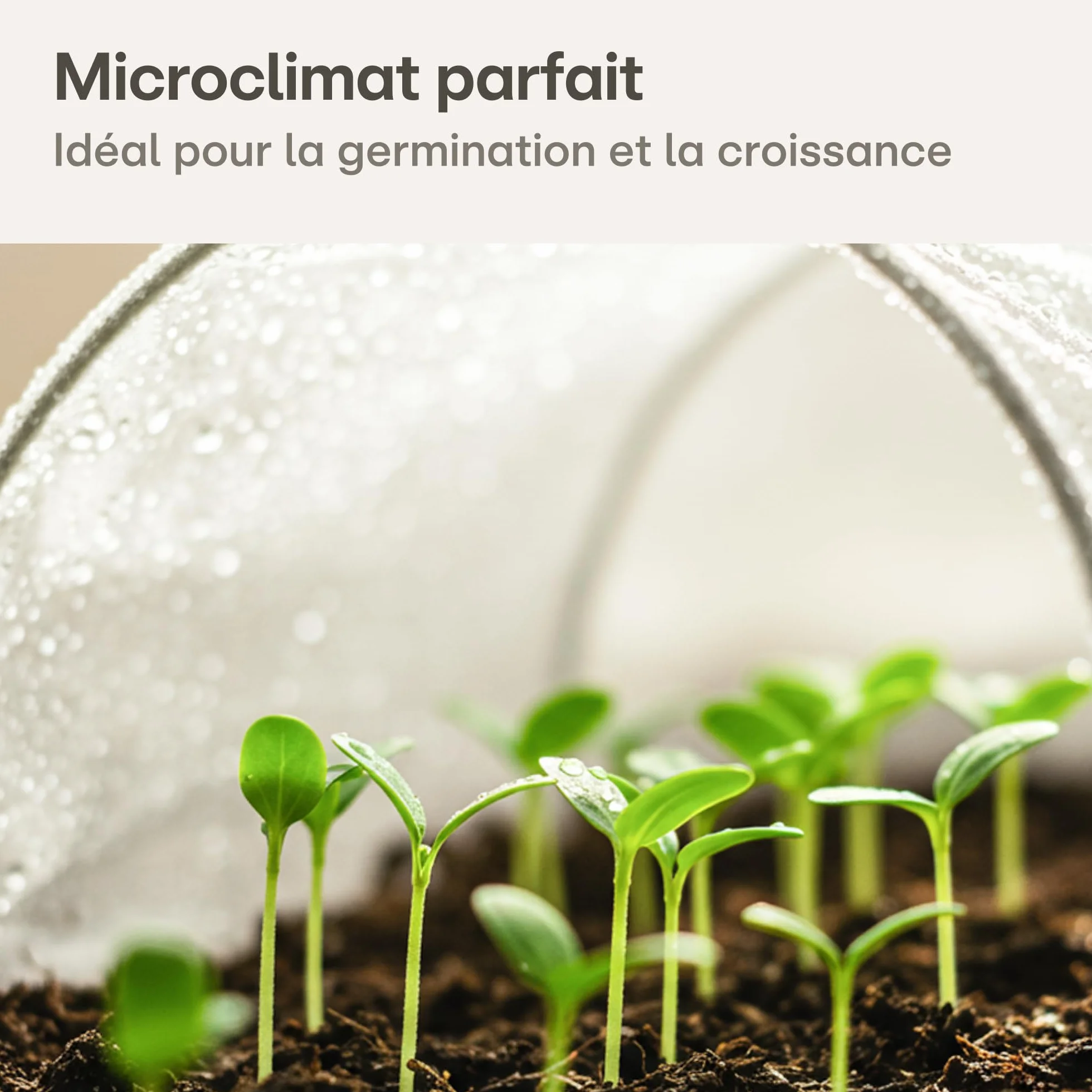 Voile d'Hivernage pour Plantes 17g/m² 20m² (2x10m) Protection Contre le Gel Respirant Perméable à l'Eau Stabilisé aux UV