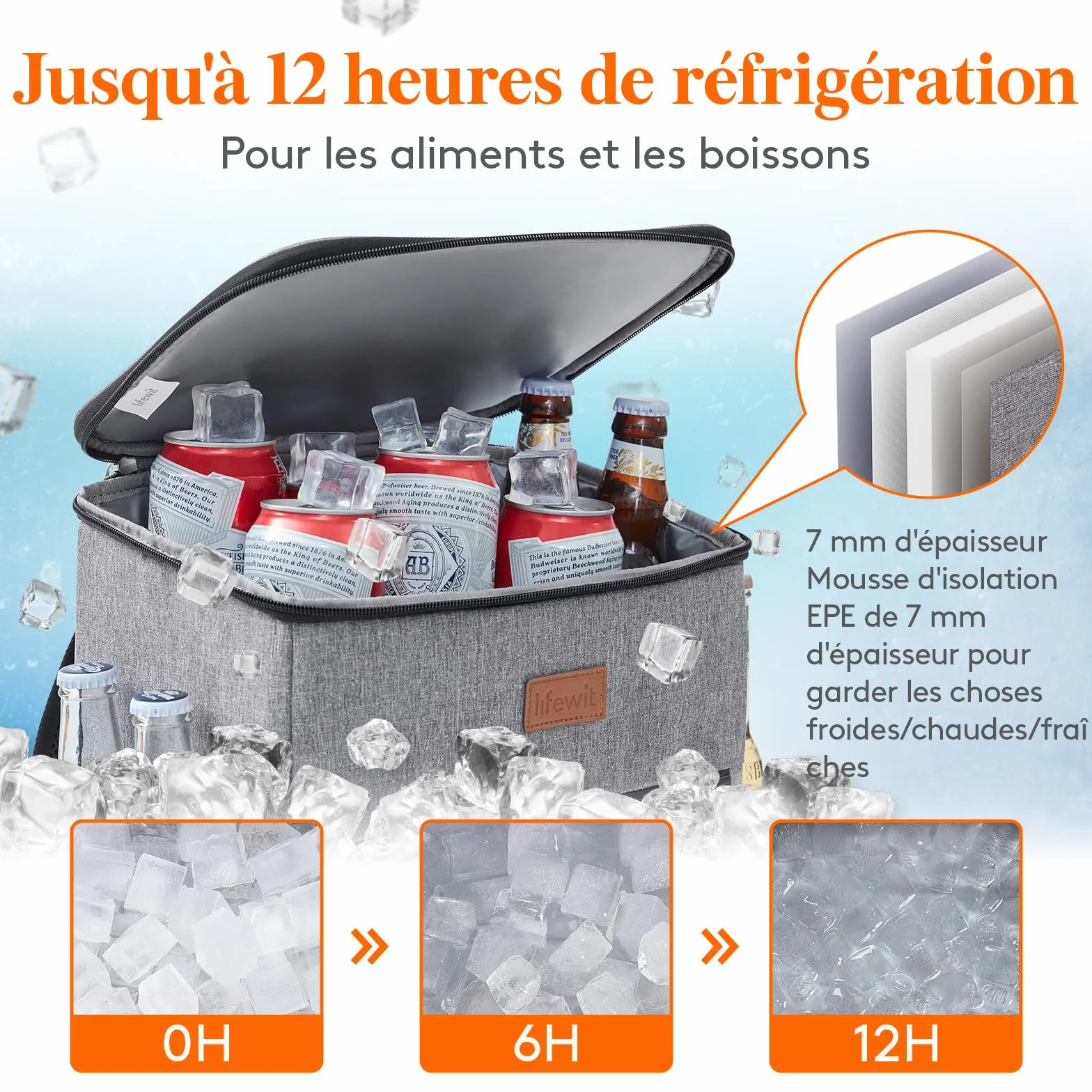 Lifewit Sac Isotherme 21L Grand Sac à Dos Repas Adulte Glacière Étanche Souple Pique-Nique Camping Gris