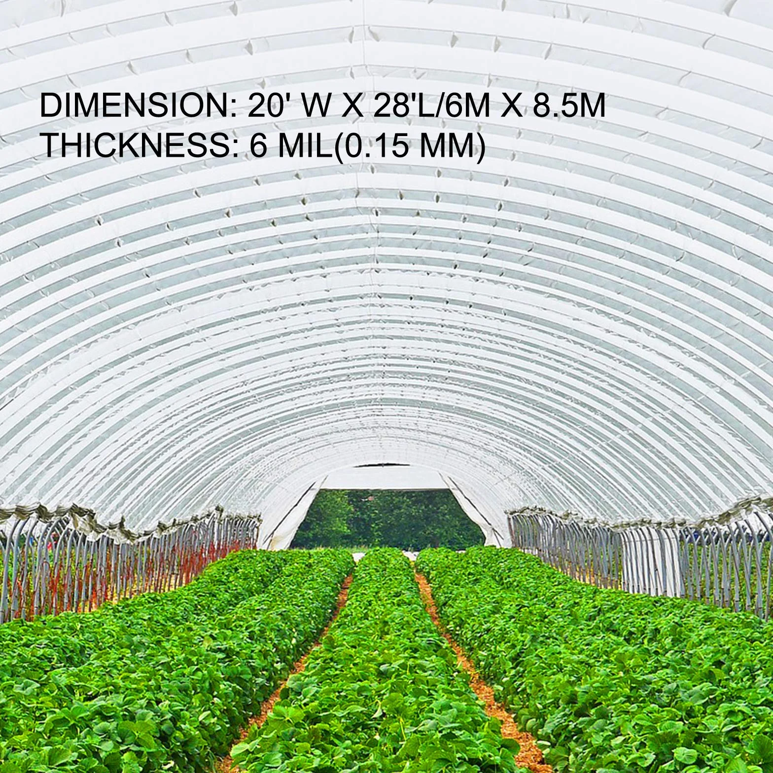 VEVOR Film à Effet de Serre 6 x 8,5 m Polyéthylène 0,15 mm Housse de Protection