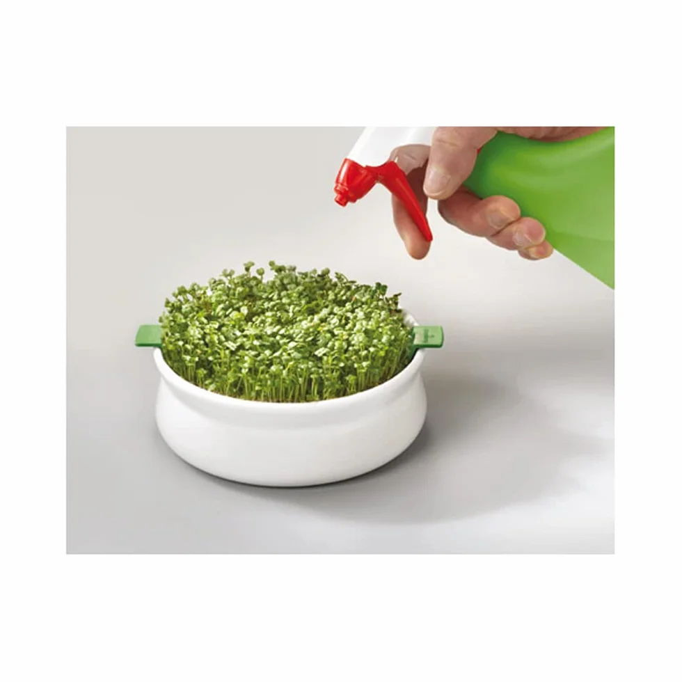 Germ'line Germoir Lot de 2 Coupelle de Germination Blanc 14.5 cm x 14.5 cm x 7 cm sans BPA