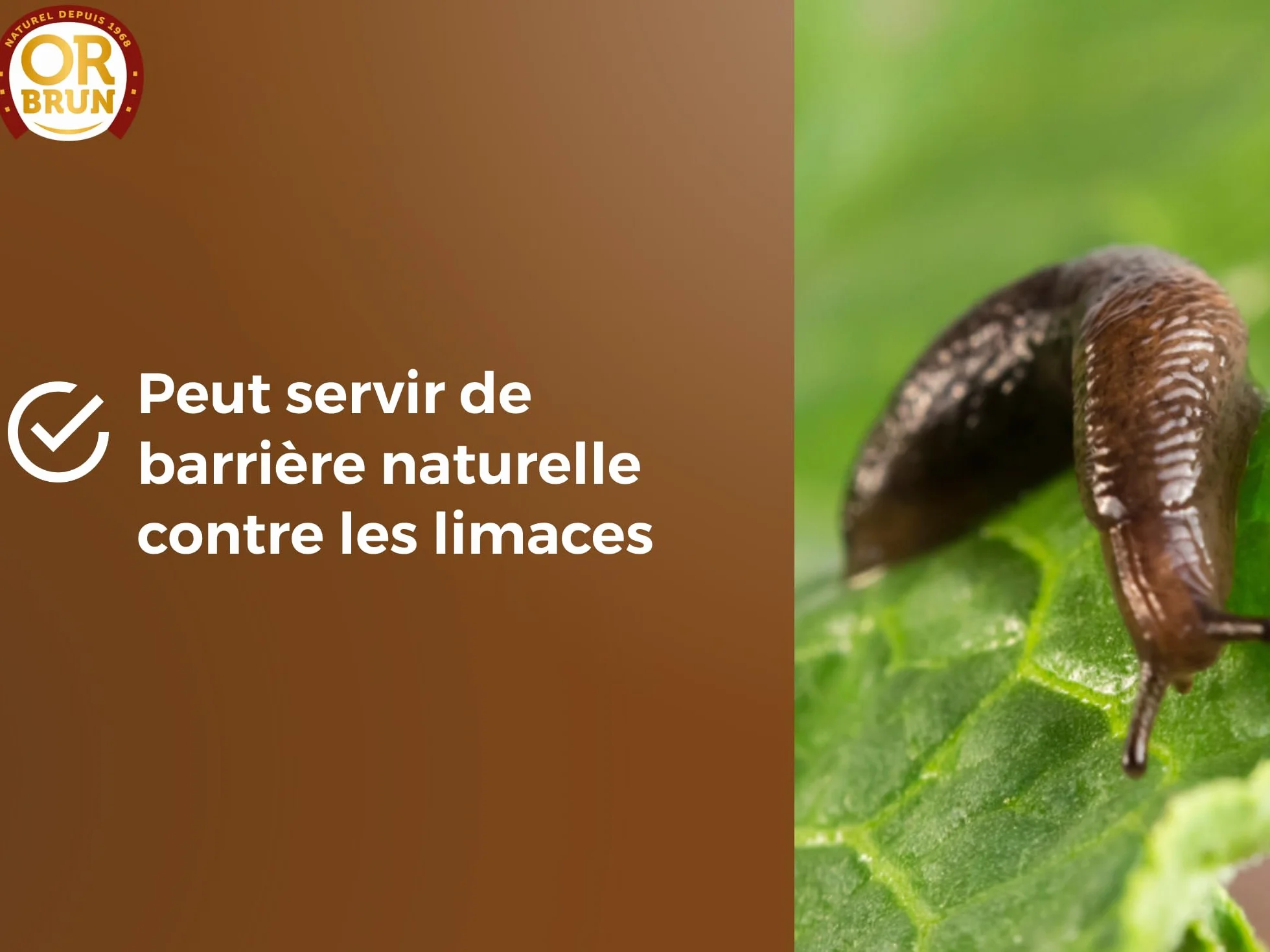 Pouzzolane Paillage 6L Protection Plantes