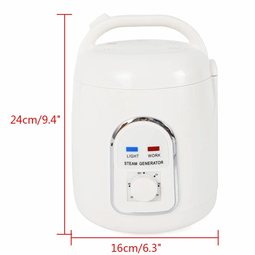 Générateur de vapeur 900 W 1,5 l Portable avec minuterie