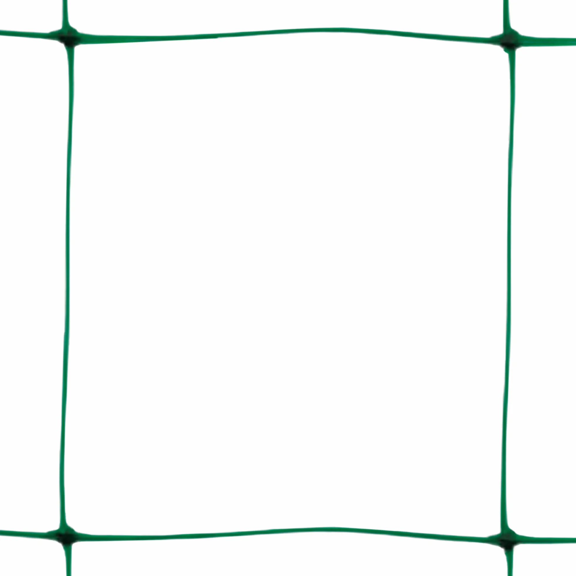 TENAX Flora 2,00 x 20 m vert filet pour grimpants et support de légumes