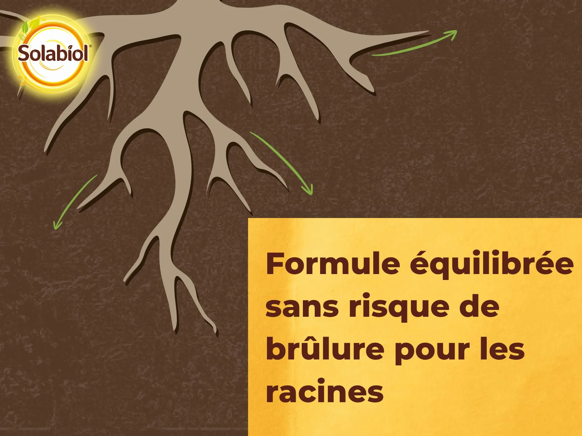 SOLABIOL Engrais Complet Liquide Universel 1L - Jusqu'à 100L Solution - Tous Types Cultures Agriculture Biologique