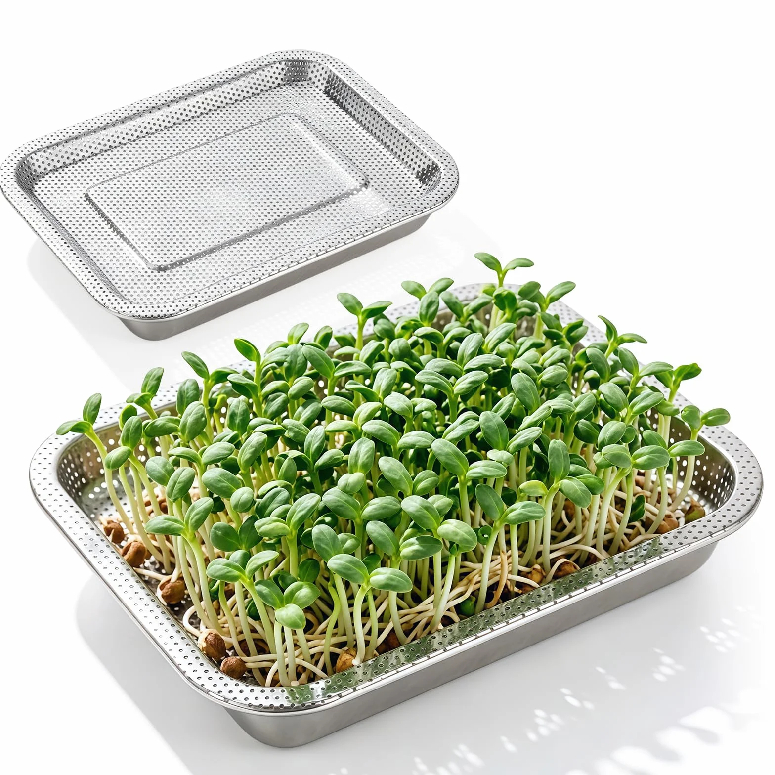 BORDEAG Lot de 2 bols à germination en acier inoxydable 27 x 20 x 4,8 cm Kit de culture de pousses