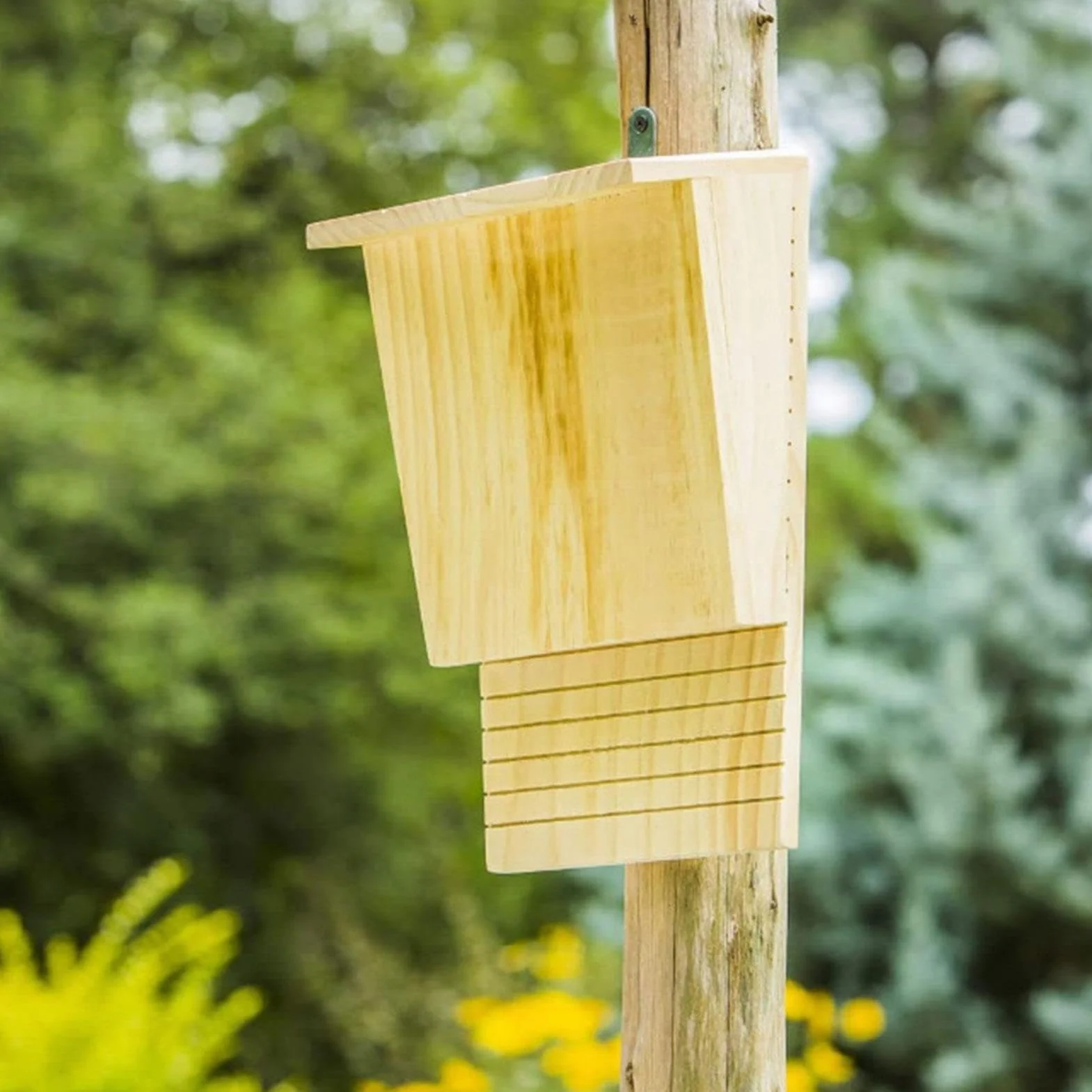 Nichoir d'extérieur pour chauve-souris en bois résistant aux intempéries