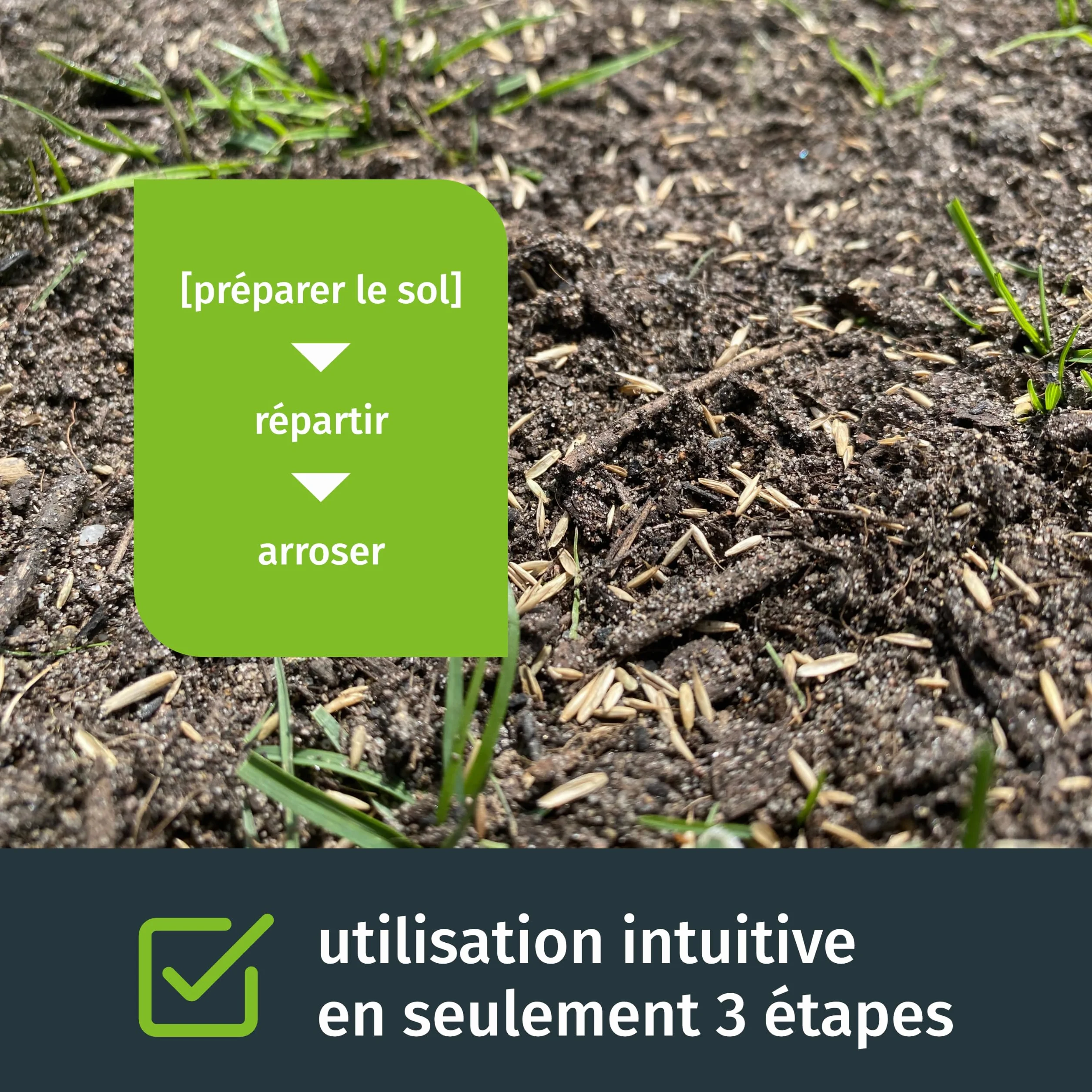 Turbogrün Semences de gazon regarnissage 5kg 250m² germination rapide sursemis printemps automne