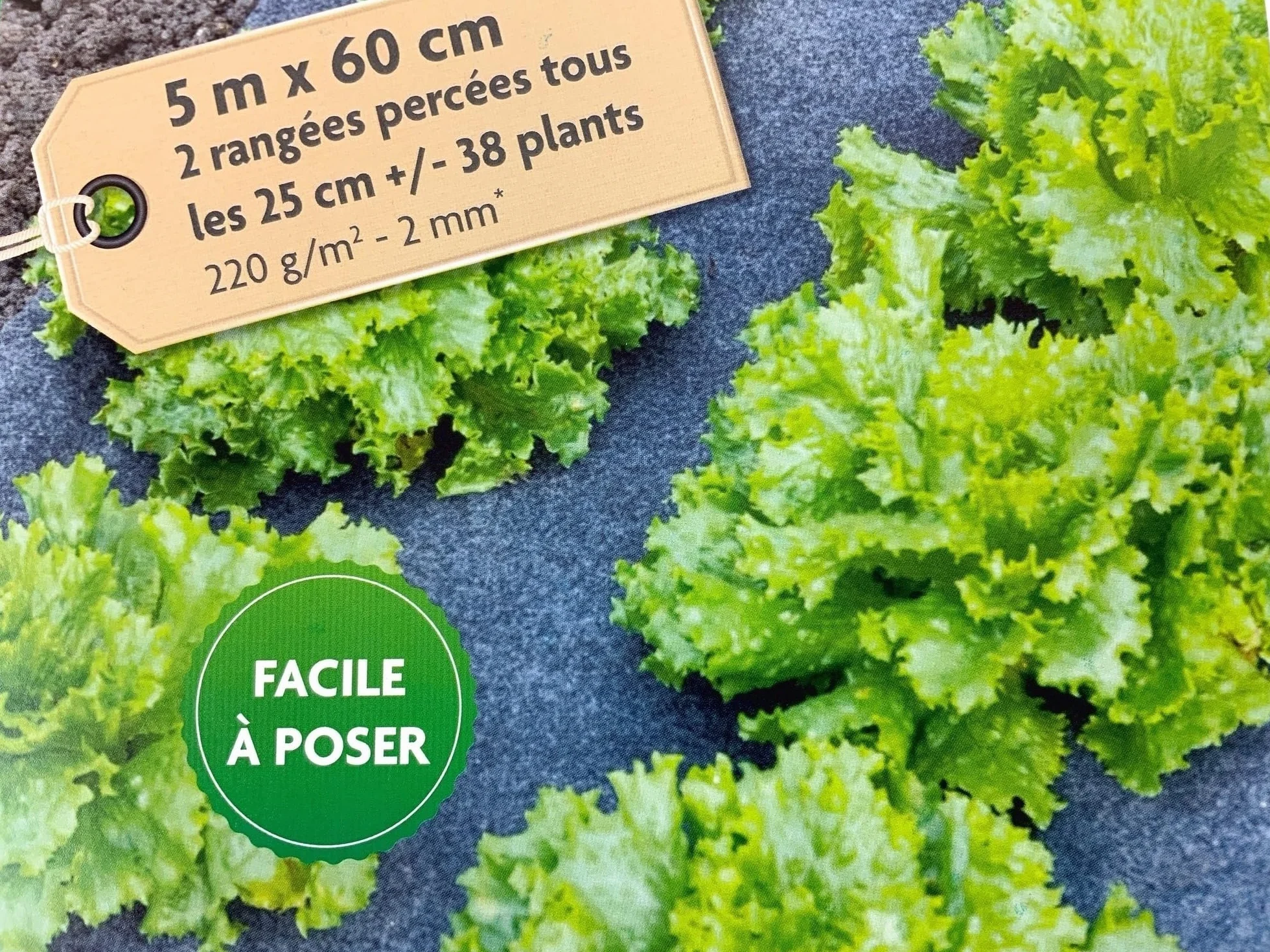 Kit de Culture Salades & Haricots 38 Emplacements Feutre Pré-percé 5 m x 60 cm 220 g/m²
