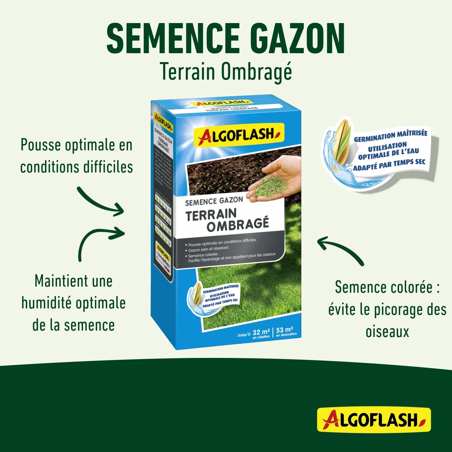 Algoflash Semence Gazon Terrain Ombragé 800 g