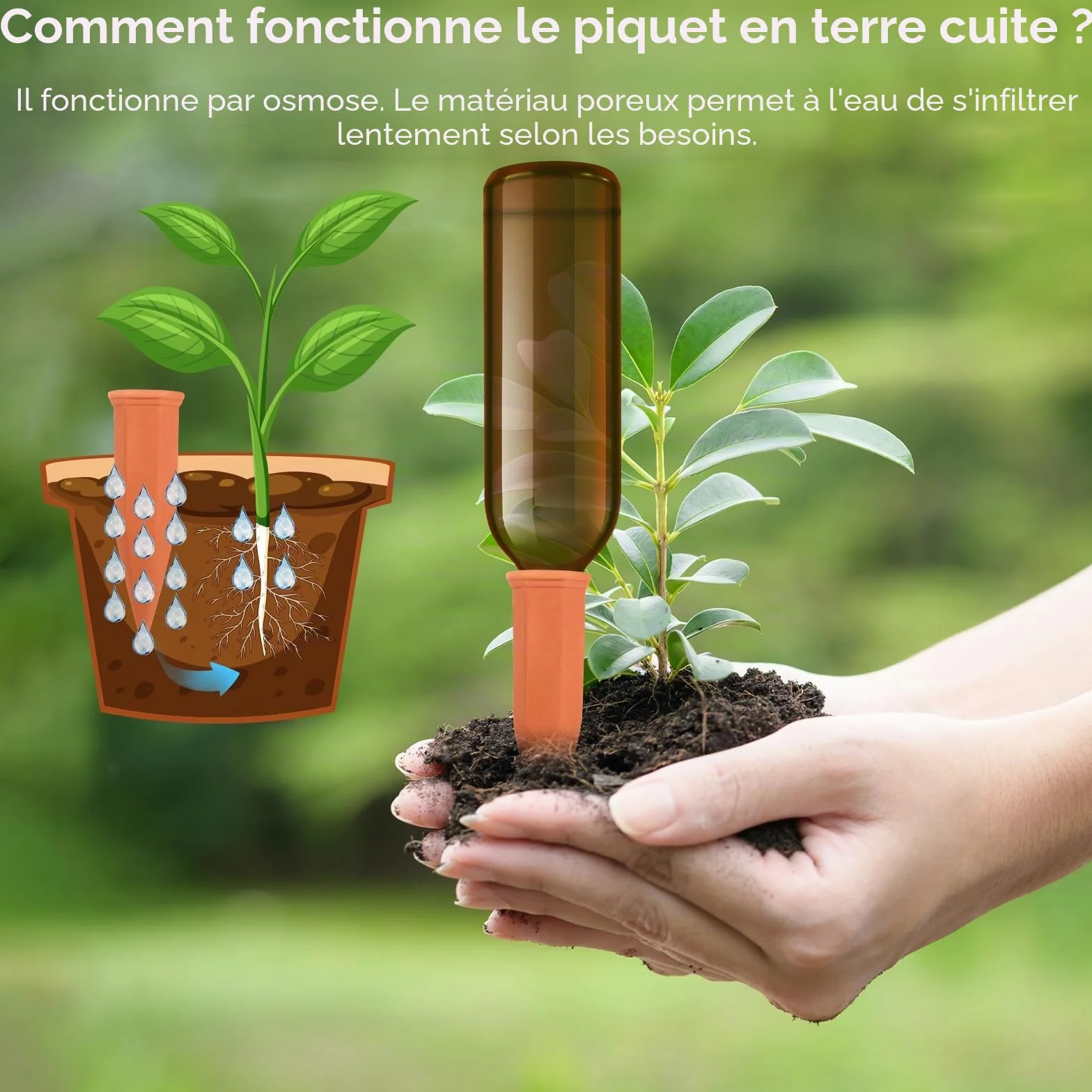 Frasheng Cône d’arrosage Argile, Système d'irrigation automatique, Kit goutte à goutte pour plantes en pot
