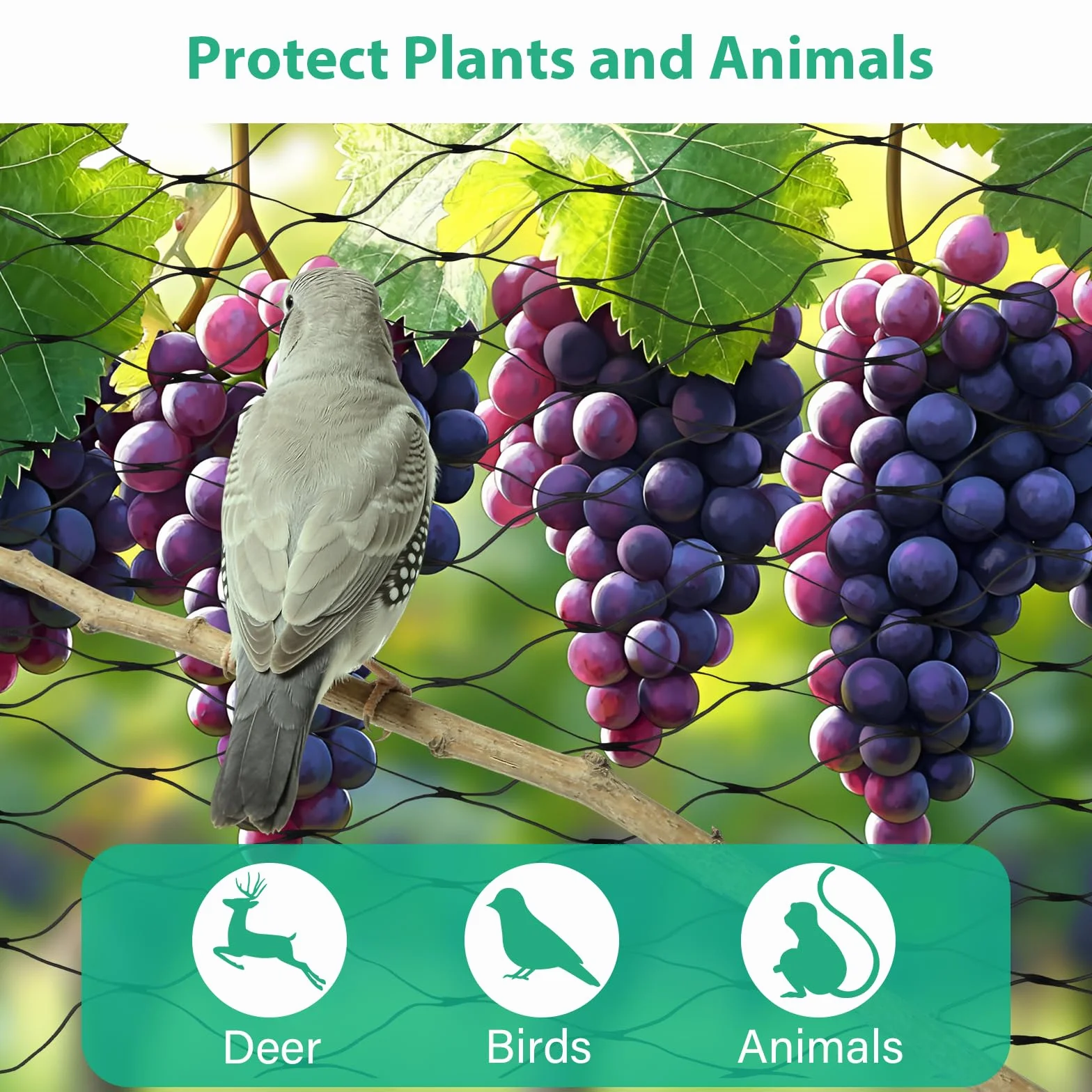 Filet de Protection Anti-Oiseaux 4m x 6m, Filet de Jardin à Mailles Fines, Réutilisable pour Arbres Fruitiers et Légumes