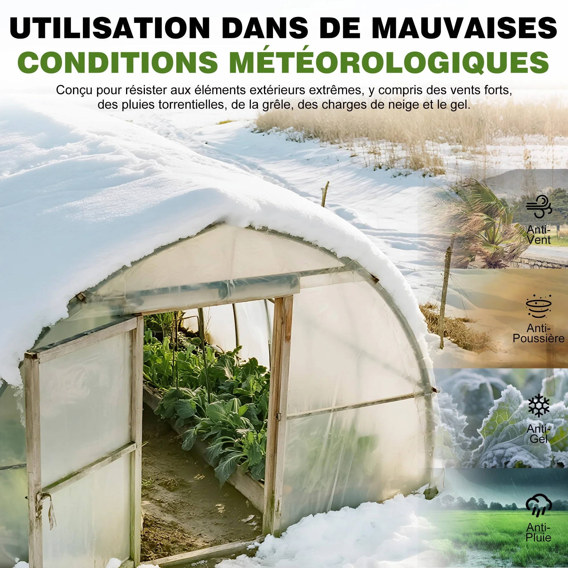 Bâche pour Serre en Polyéthylène Transparent Anti-UV 0,15mm 2Mx10M