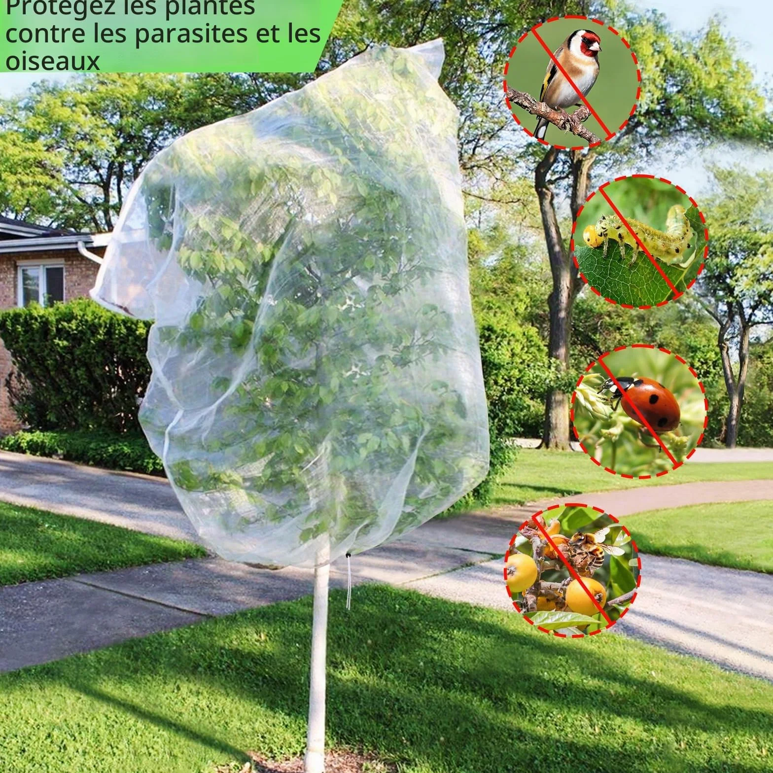 Filet de Protection pour Arbres Fruitiers 3x3m Anti-Oiseaux et Insectes avec Fermeture Éclair Blanc