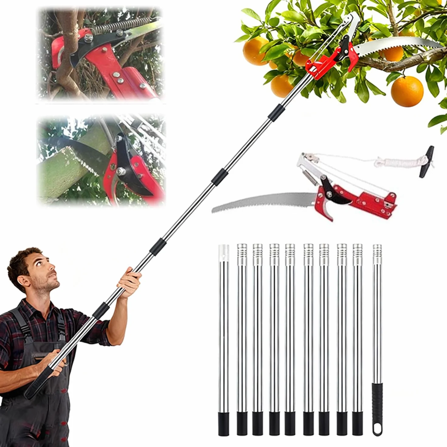 Coupe Branche Telescopique,Scie d'Élagage Manuelle,Secateur Telescopique Réglable En Hauteur Sur 5 m,Avec 10 Poteaux Alliage Aluminium Pour Élagage Coupe Branches Hautes Palmiers Arbustes(Bleu)