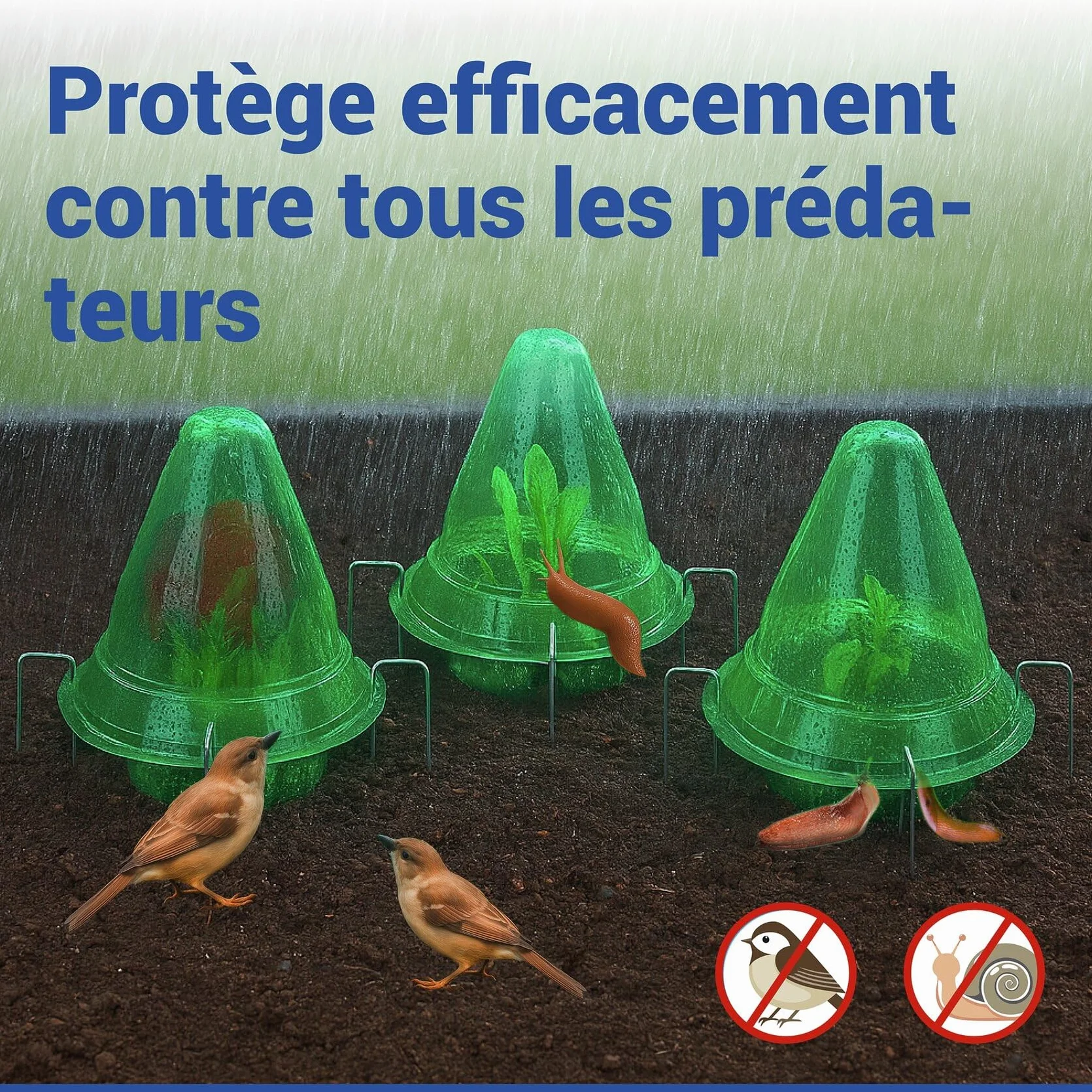 Maximex Dôme de bouturage 3en1 15 pièces Protection contre le gel oiseaux limaces jardin 3 cloches culture semis Ø 27 x 25 cm Plastique PET vert