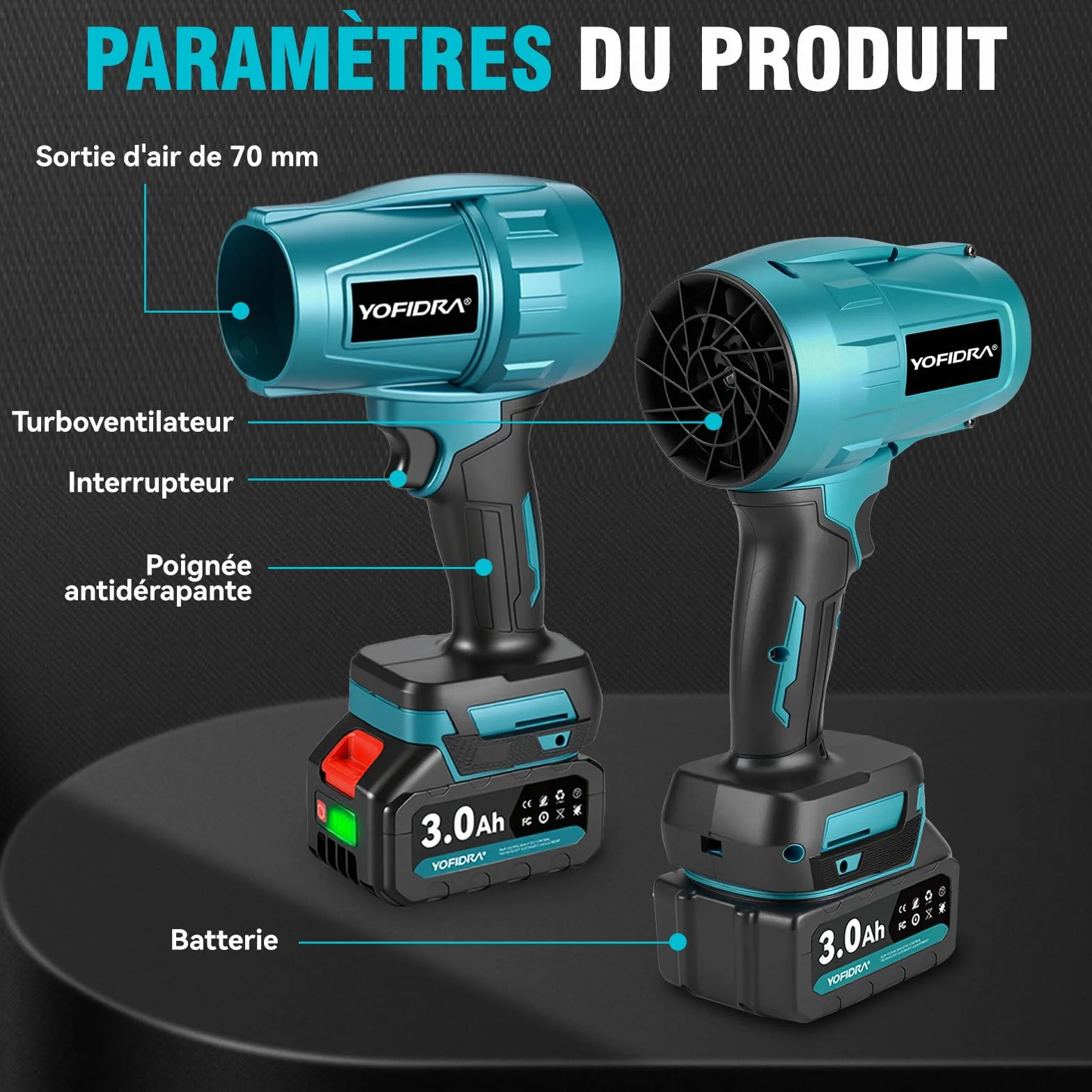 Souffleur de Feuilles sans Fil 576 km/h 28000 TR/Min 2 Batteries 3,0 Ah