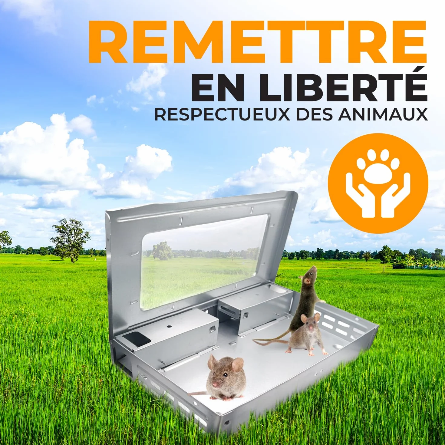 AXELMA Piège à Souris Vivantes Multi-Capture – Attrape Souris sans Tuer en Métal, Sécurisé Enfants Animaux, Réutilisable