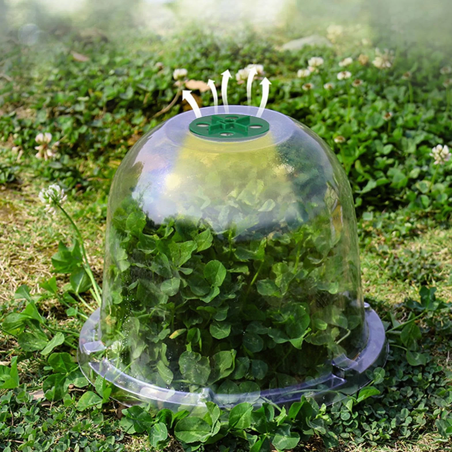 Zankie 10 Pièces Cloche pour Plantes de Jardin 16x18 cm Couvercle Dôme Réutilisable Transparent Humidité Réglable Serre