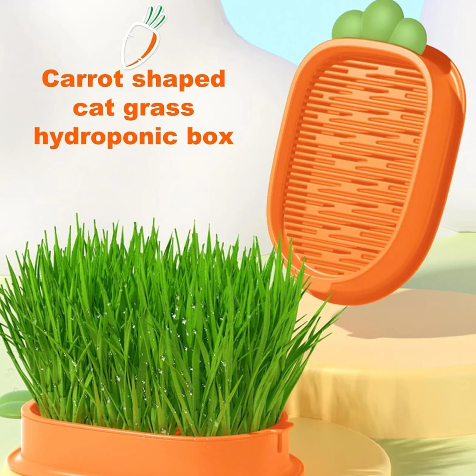 Kit de Culture d'Herbe à Chat Hydroponique Sans Sol avec Graines