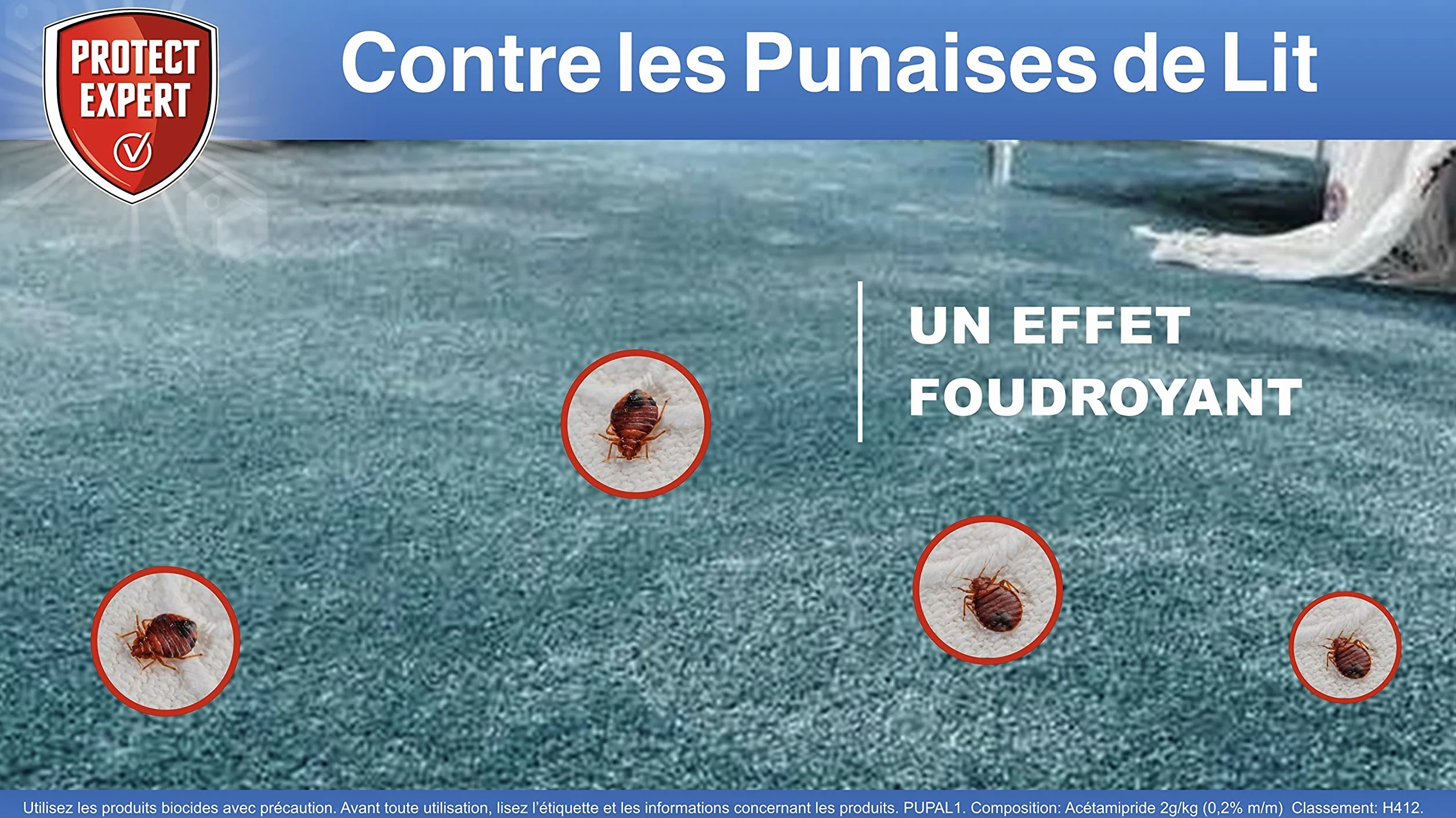 PROTECT EXPERT Anti Punaises De Lits & Acariens 1L - Élimine Larves et Adultes - Efficacité Longue Durée