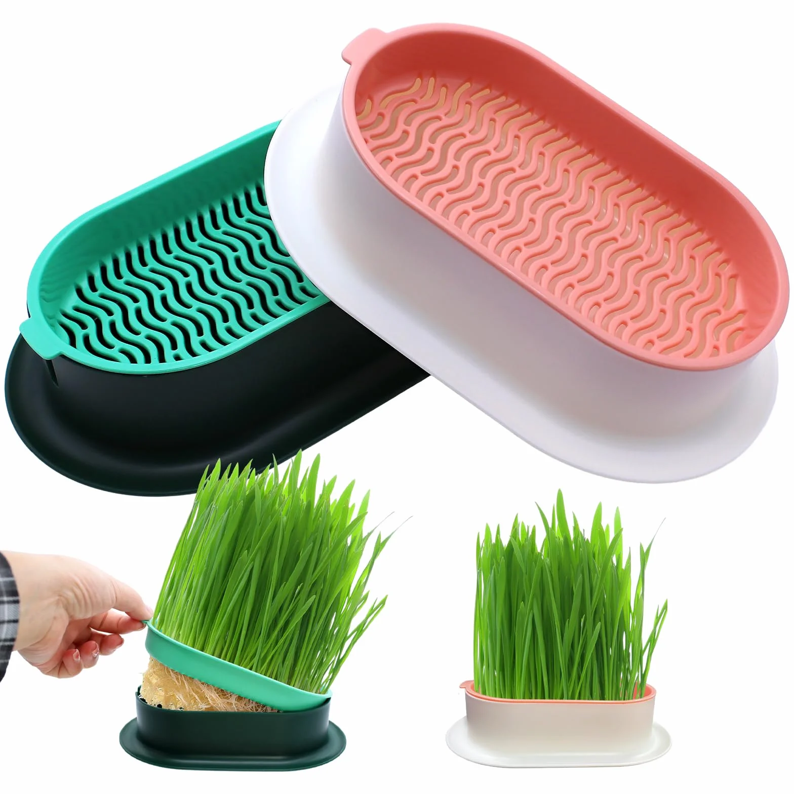 Bacs à Germer pour Herbe à Chat Fraîche, Plastique 2 Pièces