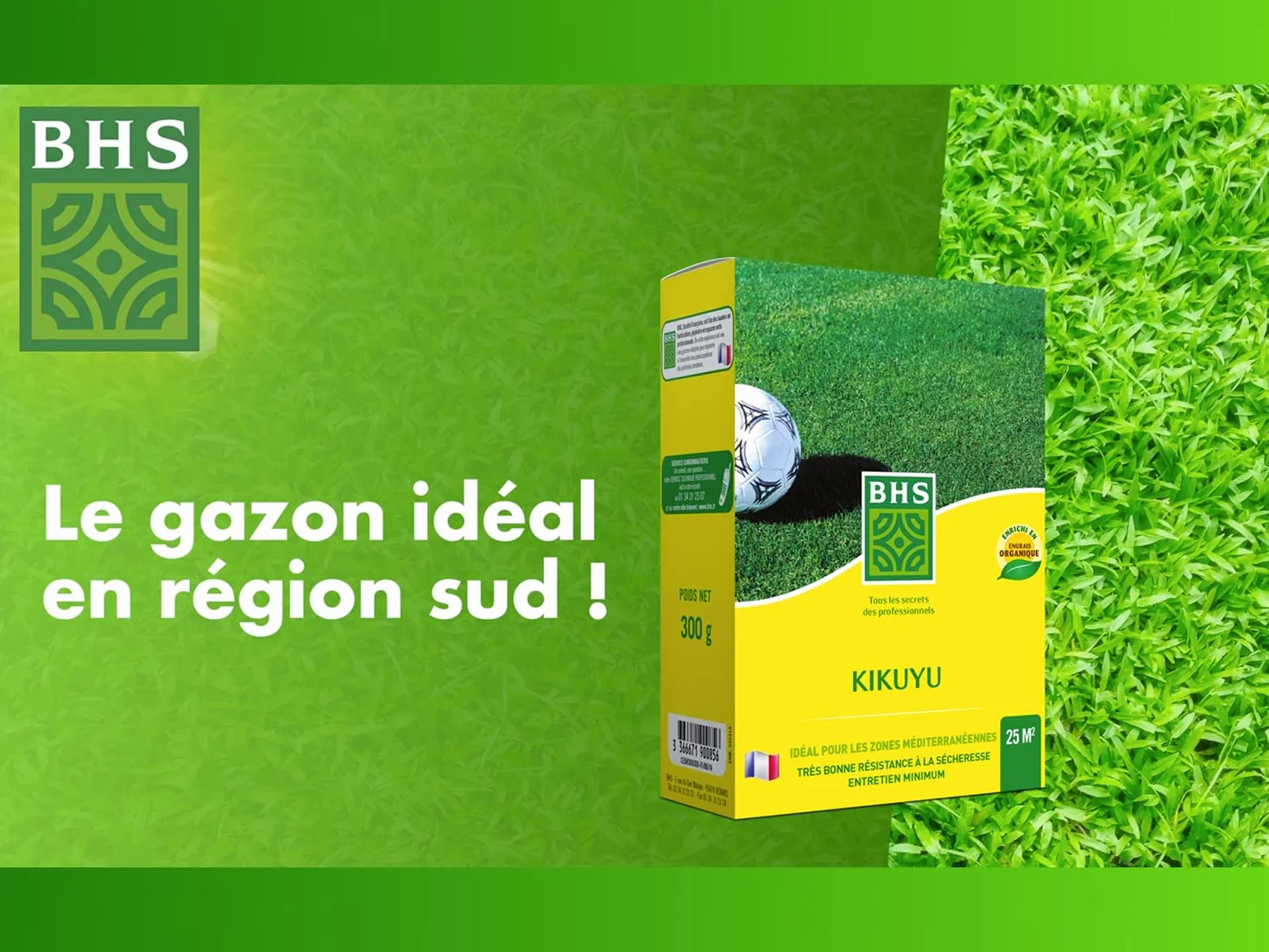 BHS Kikuyu Gazon Zones Méditerranéennes 300g 25 m² Résistant Fortes Chaleurs KIK300