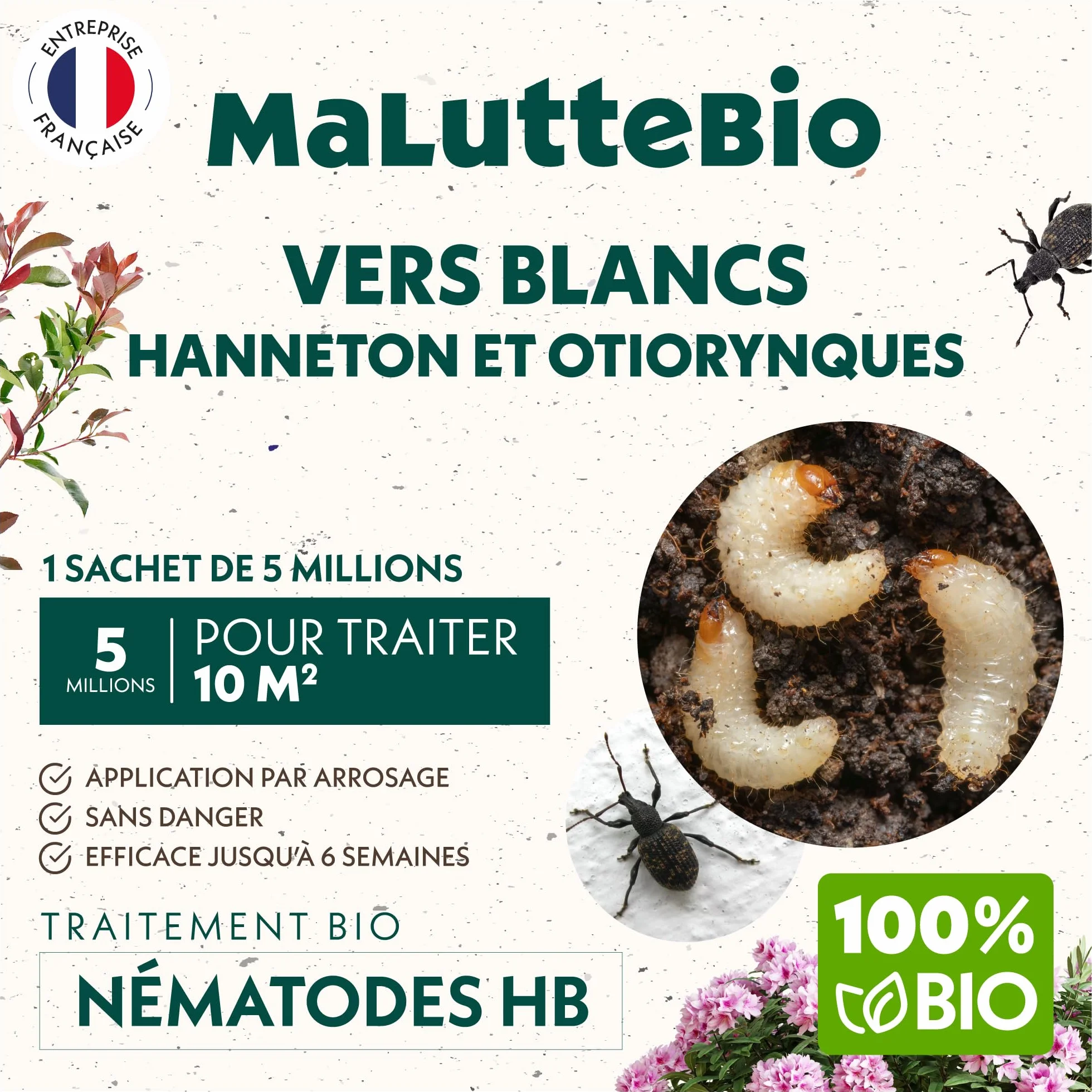 Nématodes HB contre Vers Blancs 5M pour 10 m² – Traitement naturel jardin, pelouses