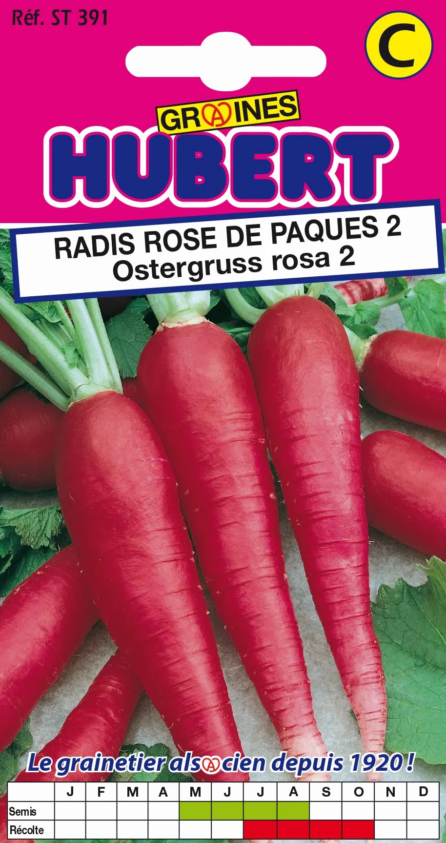 Graines de Radis Rose de Paques Ostergruss Rosa 2-8 grammes