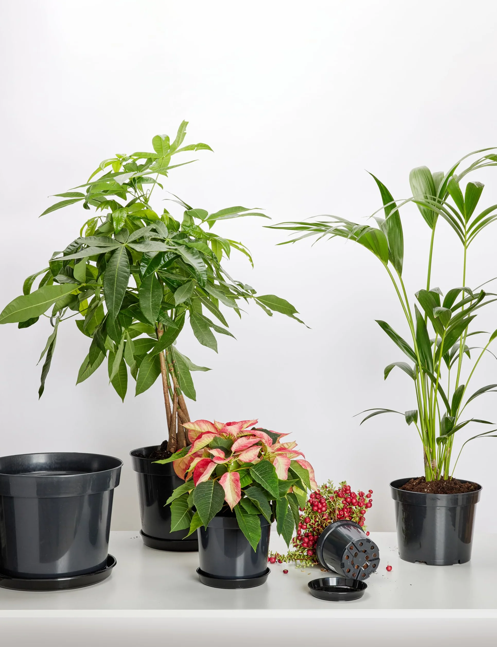 Soucoupes pour Pots Horticulture Ronds Noir ⌀ 50 cm H 6,2 cm
