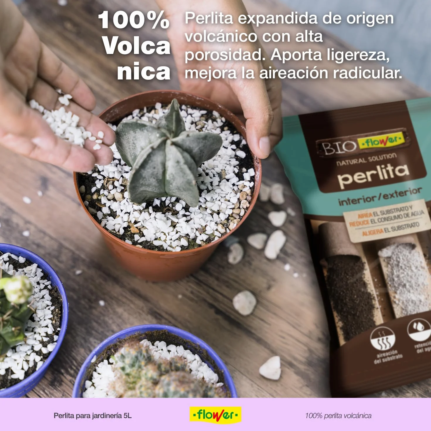 Flower Perlite 5L