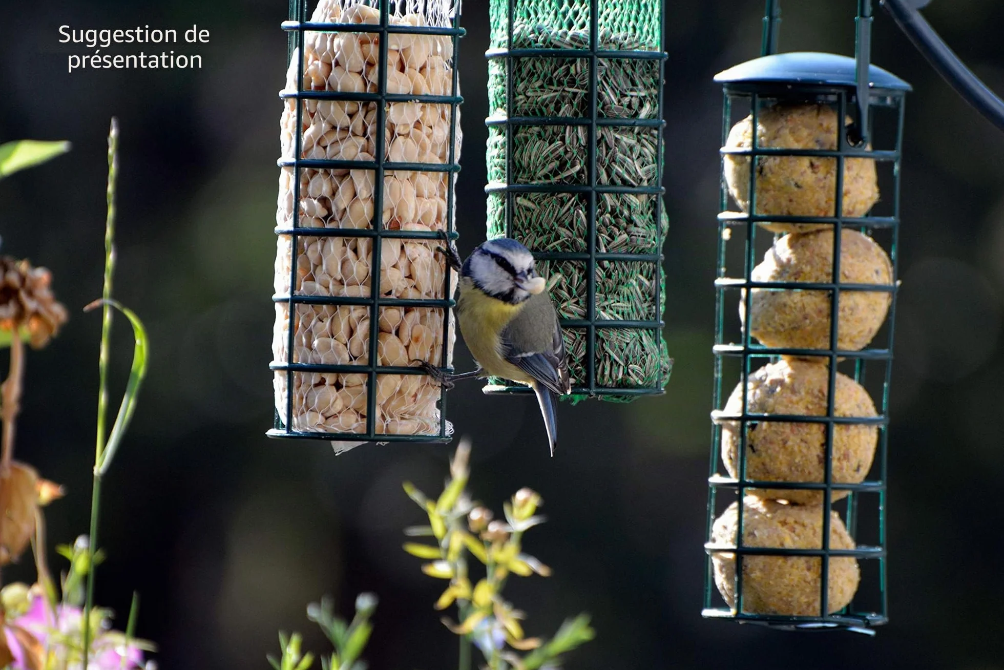 Mangeoire pour oiseaux Dobar 24081 avec quatre boules à mésanges, rechargeable, noire, plastique