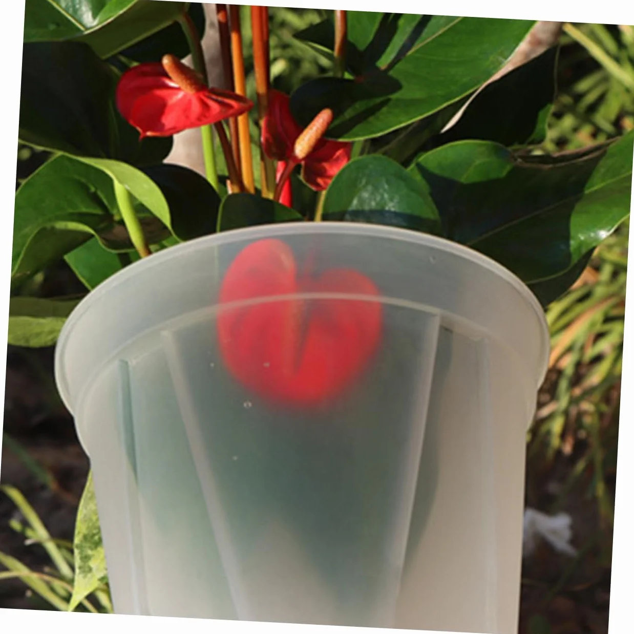 Pots À Orchidées Transparent avec Trous Lot 2pièces Yardenfun pour Plantes Intérieur Extérieur