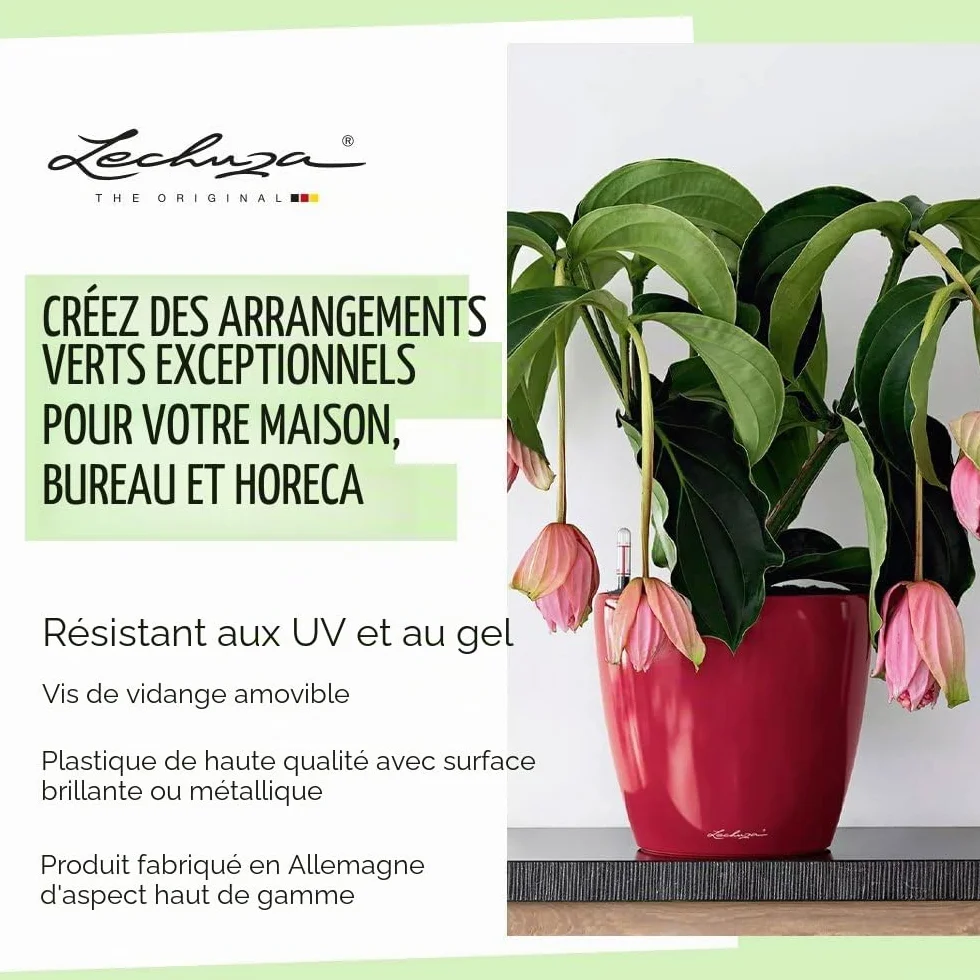 Lechuza Pot de Fleurs d'Intérieur Premium Classico Ls Réserve d'Eau Intégrée Blanc Ø 21 x 20 cm