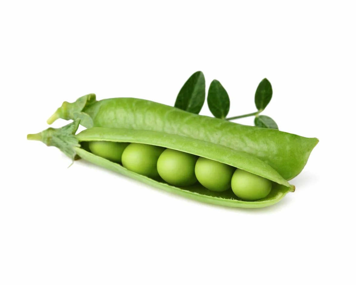 Click & Grow Capsules Pois Nain Recharges pour Potager Interieur Pack de 3
