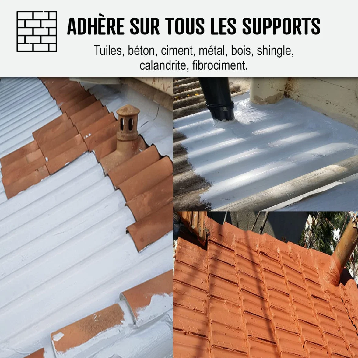 Étanchéité Toiture : Peinture résine d'étanchéité ARCAFILM pour Toit et Tuile - 2.5 L Tuile - ARCANE INDUSTRIES
