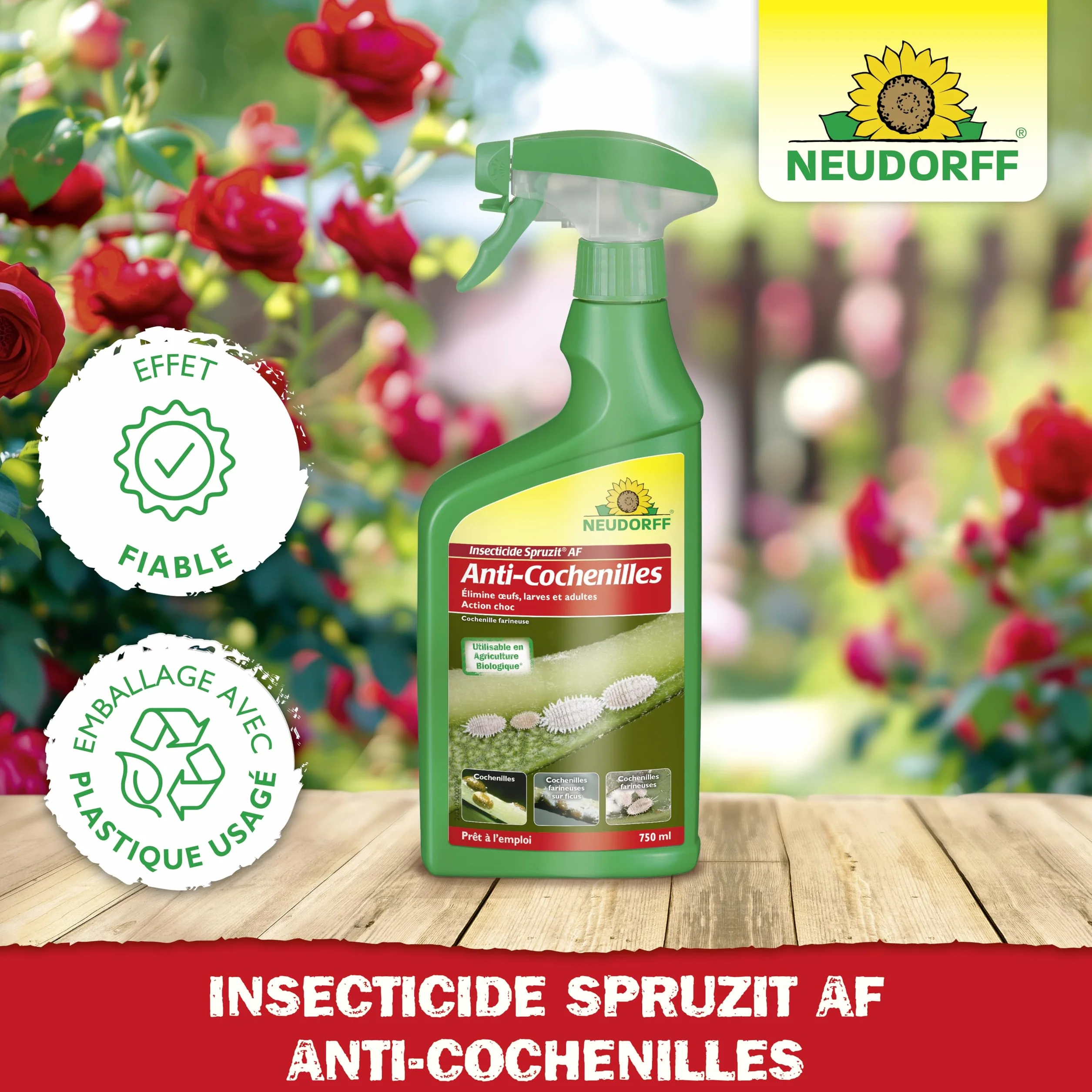 Neudorff Insecticide Spruzit Anti cochenille AF Spray 750 ml – Traite les cochenilles et pucerons sur plantes ornementales et fleurs
