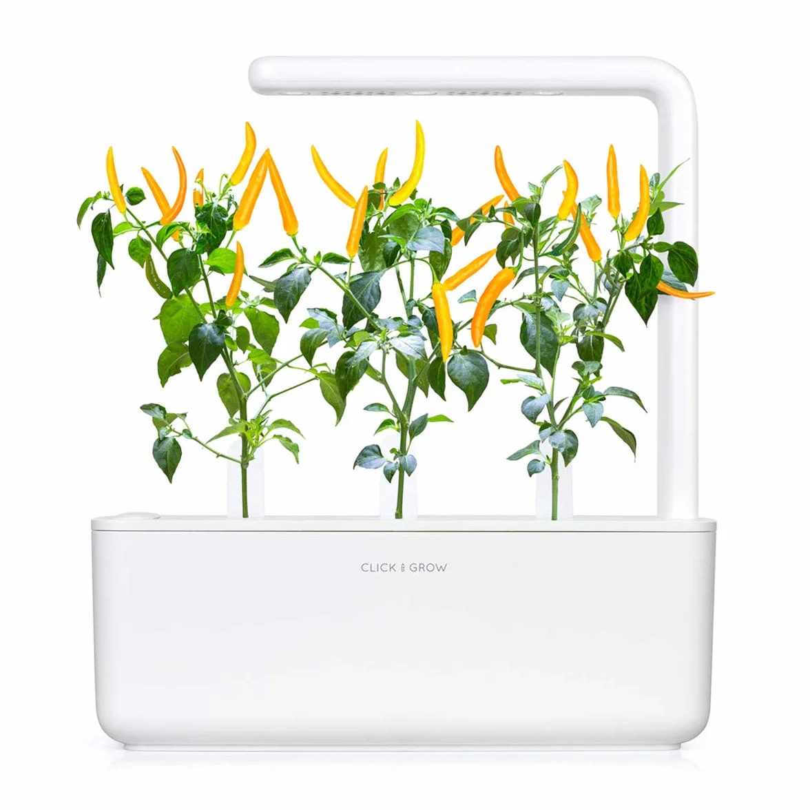 Click & Grow Capsules Piment Jaune Pack de 3 Recharges Potager Intérieur