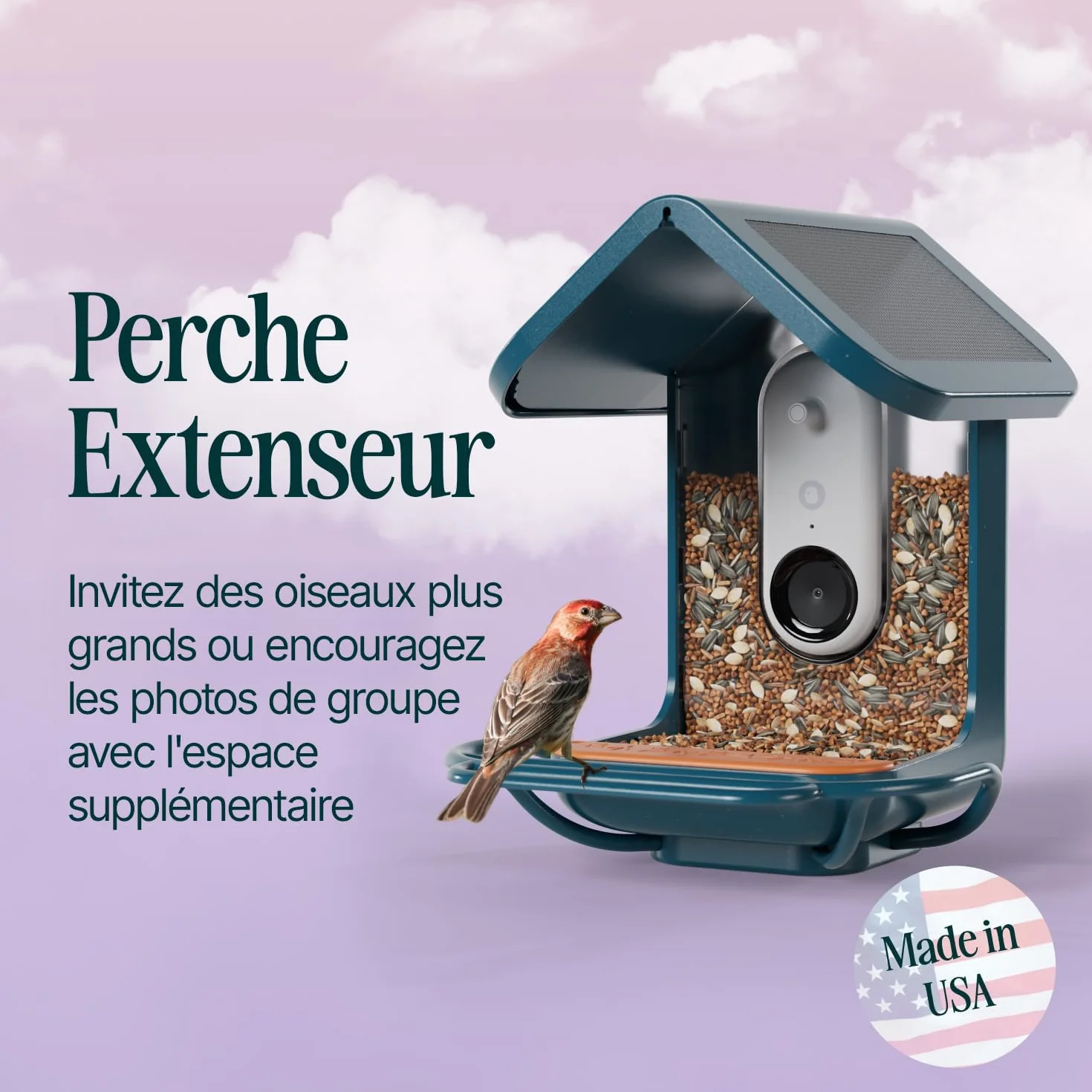 Birdbuddy Perchoir Bleu Extensible pour Observation Oiseaux d'Extérieur Résistant aux Intempéries