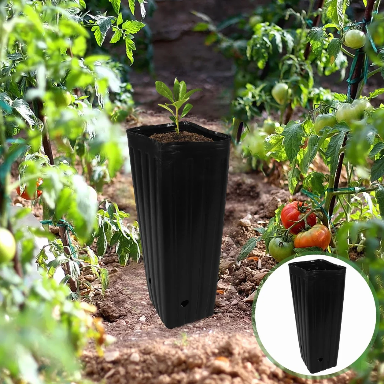 BESPORTBLE Lot de 30 sacs à semis - Tubes d'arbre pour semis, pots de culture