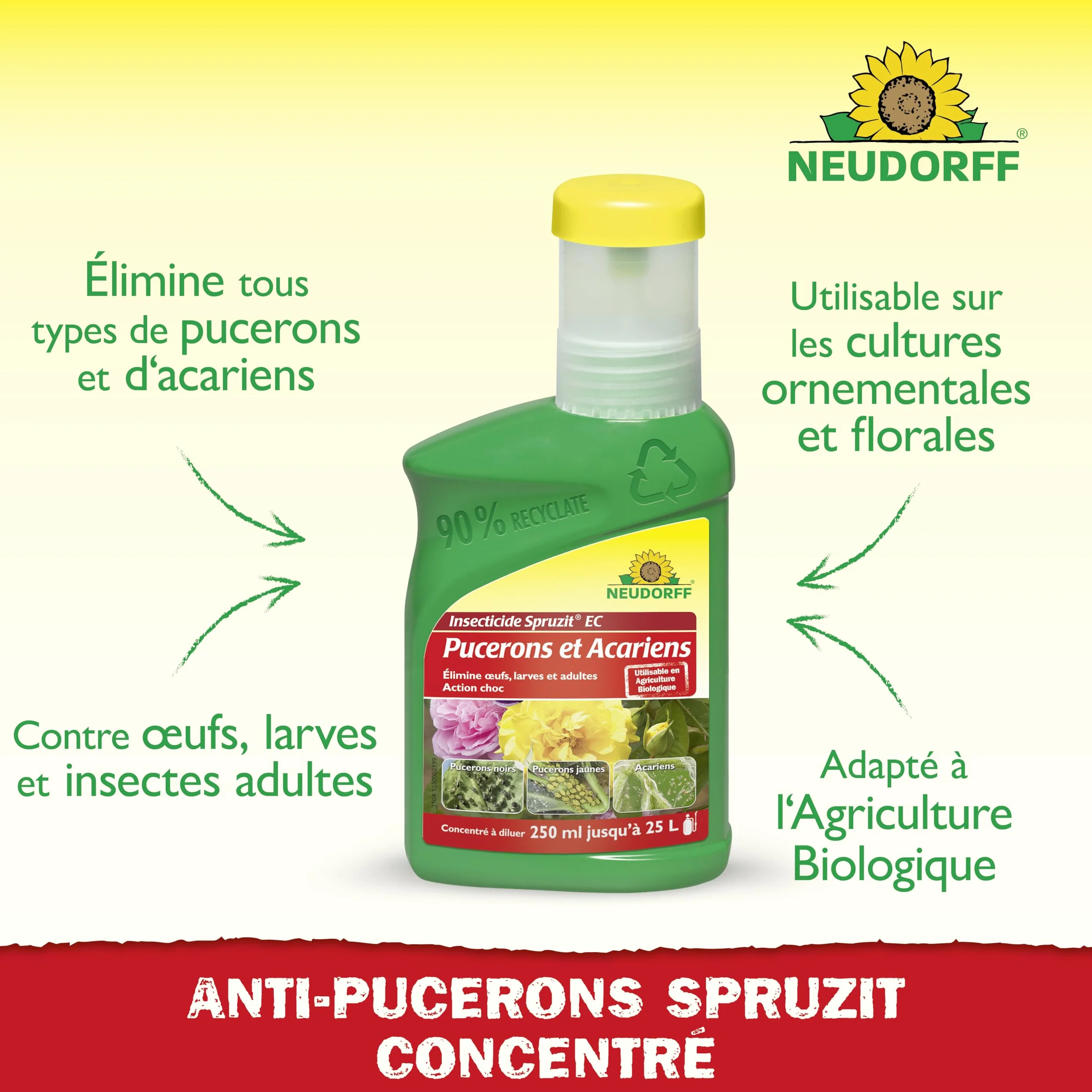 Neudorff Spruzit EC Insecticide Anti-Pucerons et Acariens Concentré 250 ml