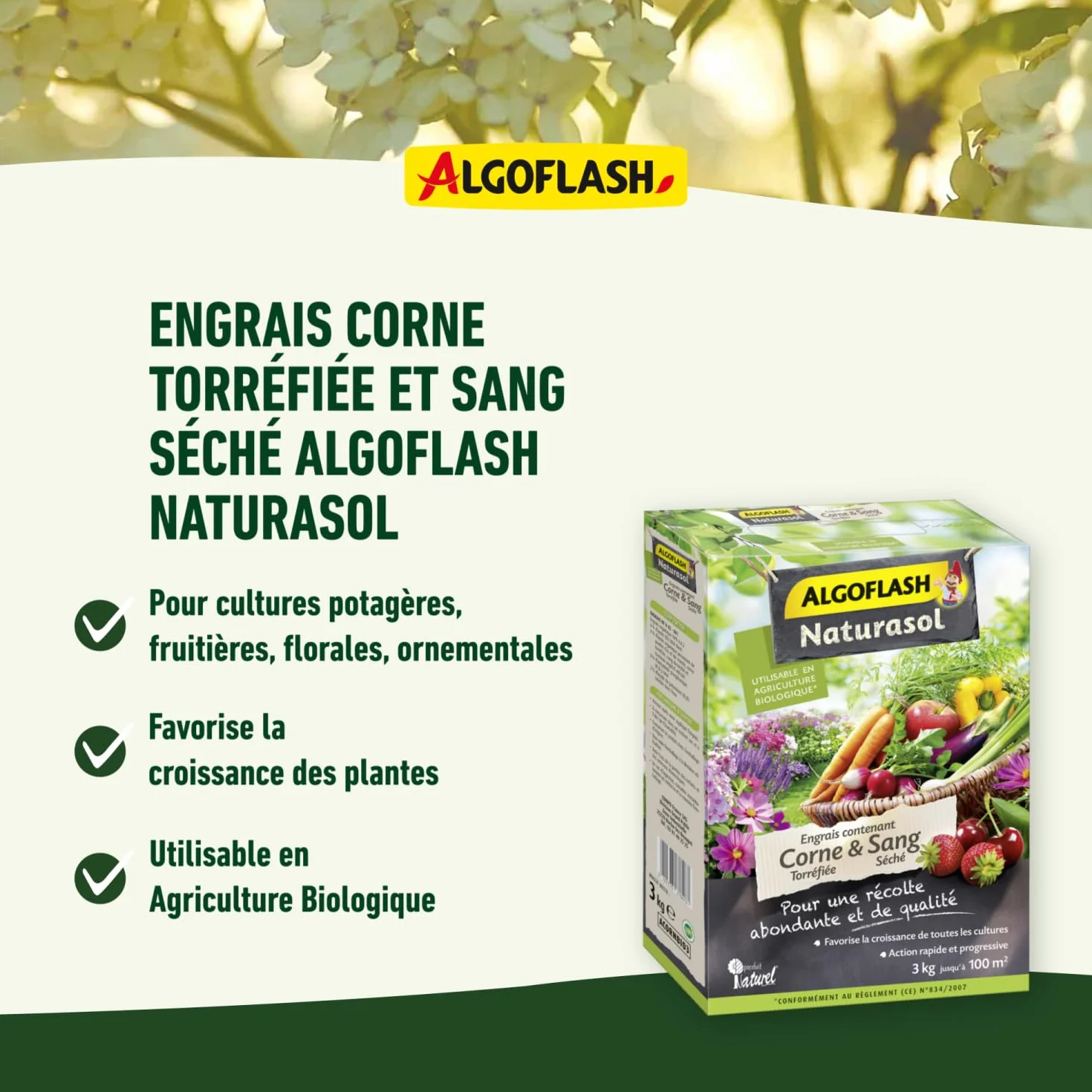 ALGOFLASH NATURASOL Engrais Corne torréfiée Sang Séché 1.5 kg 50m²