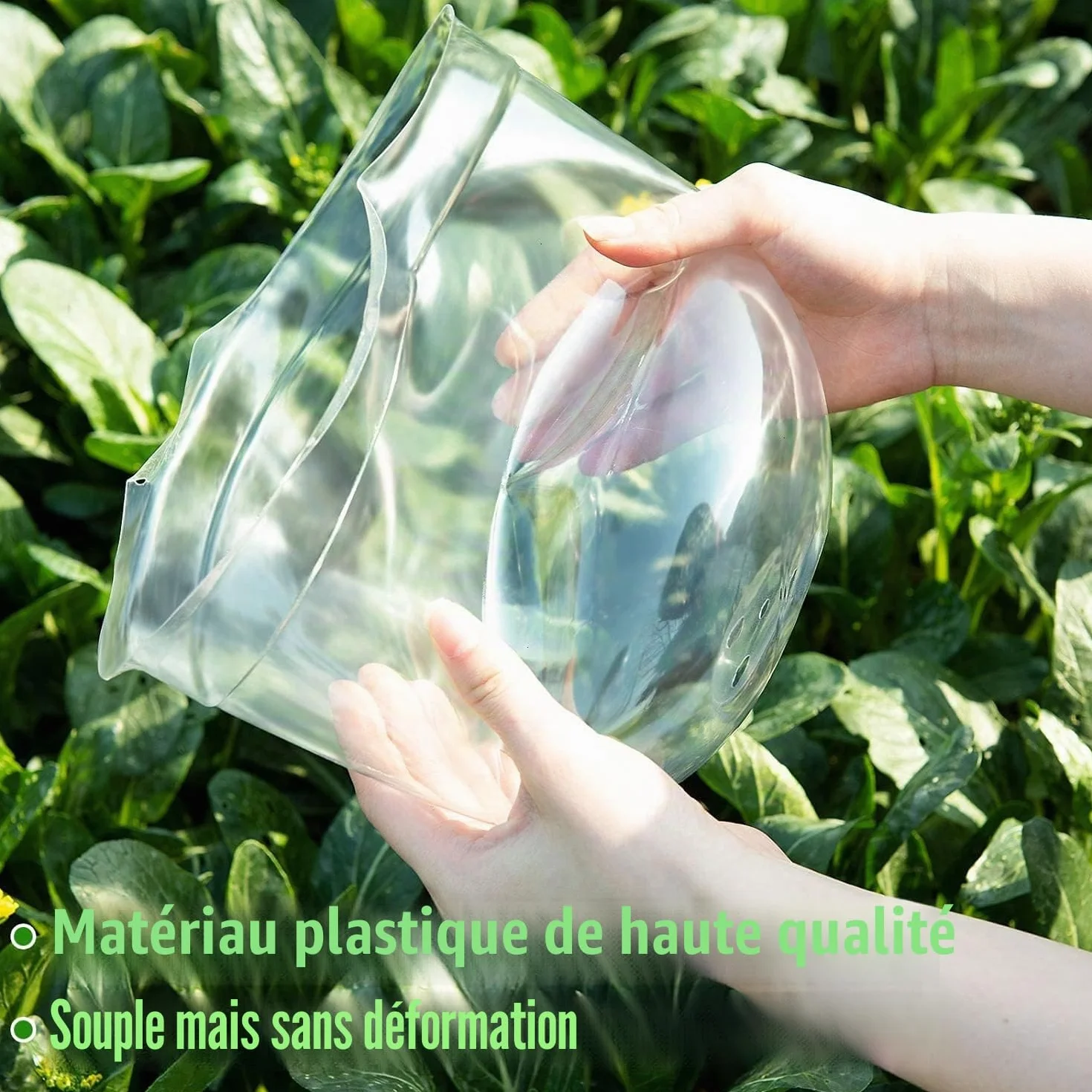 Cloche pour Plantes de Jardin LATERN 26CM x 20CM Mini Serre en Plastique 10 Pièces avec Piquets de Fixation
