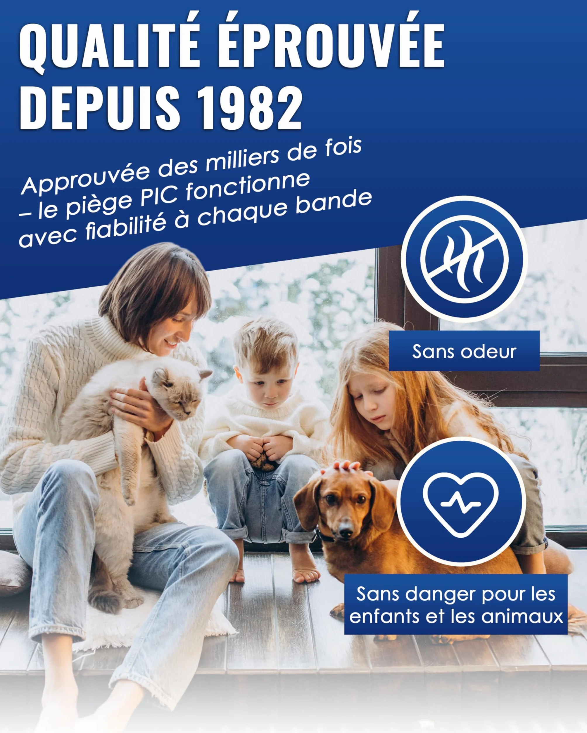 Piège à Mouche pour fenêtre 16 pièces Anti Mouche, Attrape Mouche Non Toxique inodore